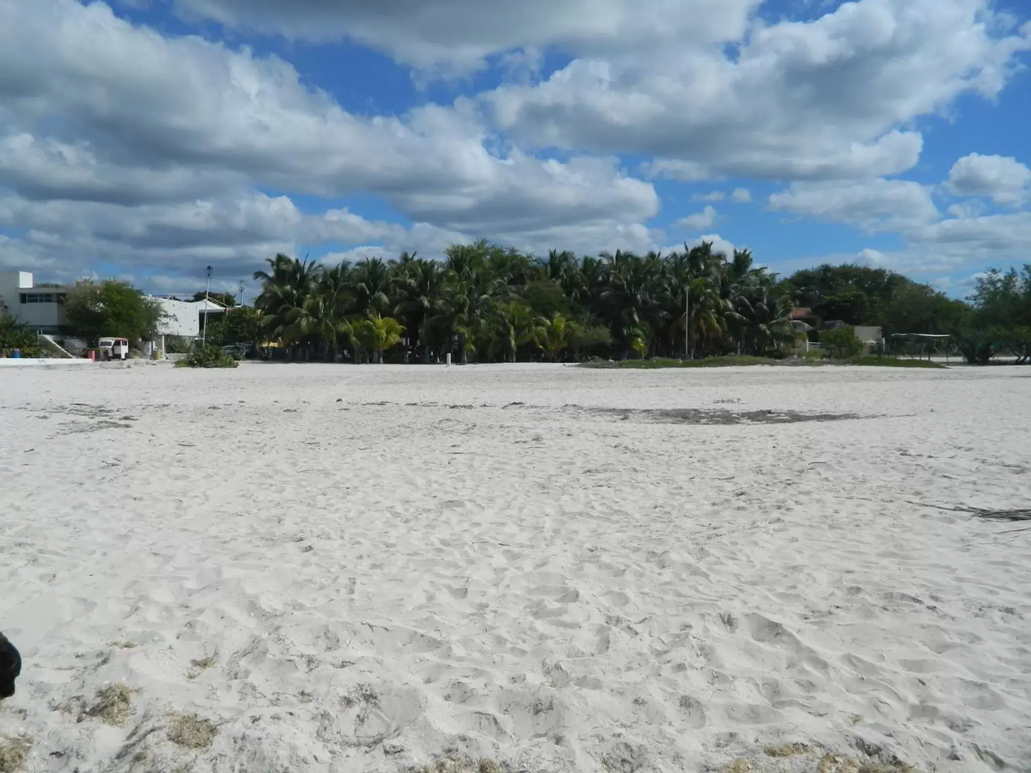 Beach in Cabañas Camping Ria Celestun