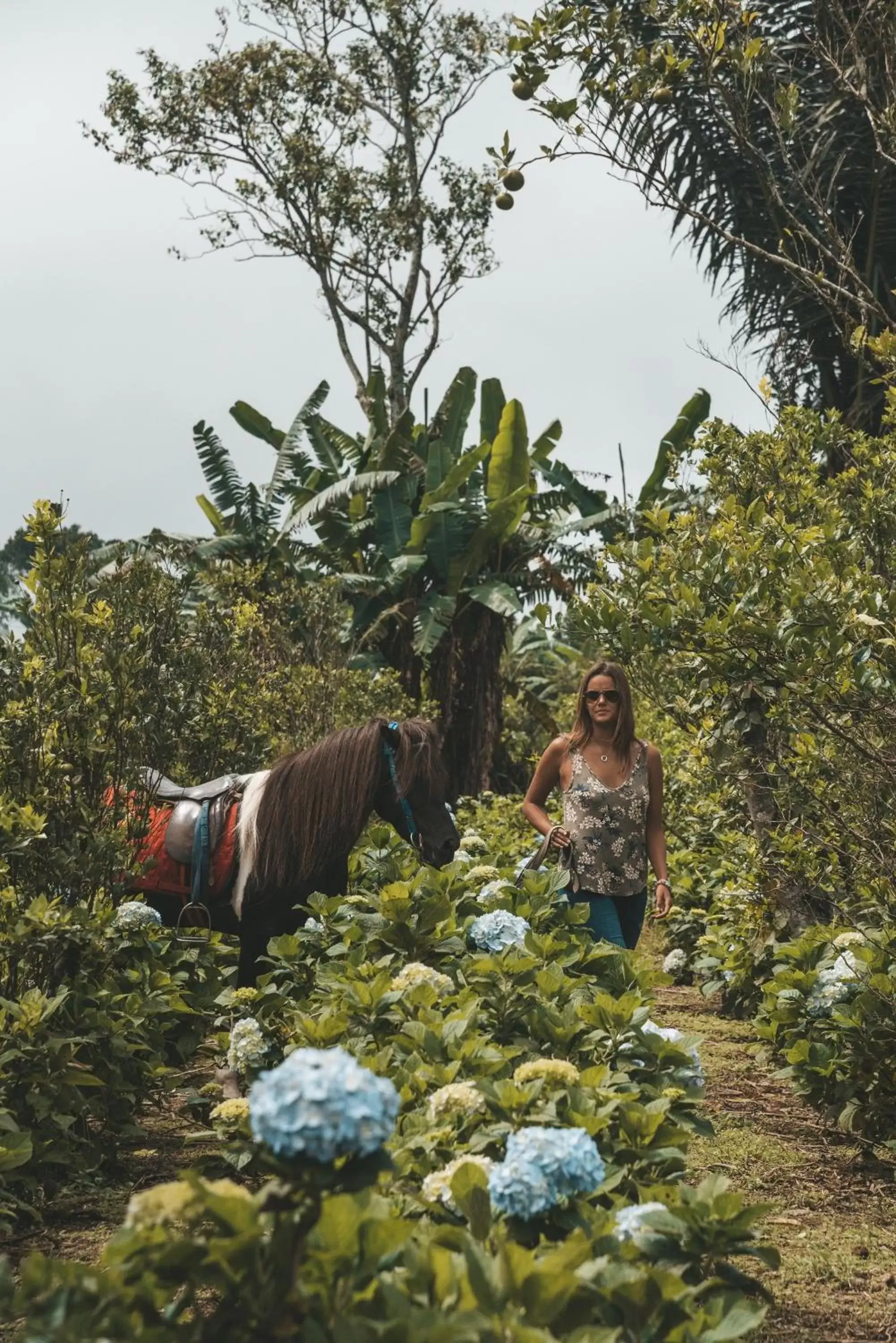 Horse-riding, Other Animals in Munduk Moding Plantation Nature Resort & Spa