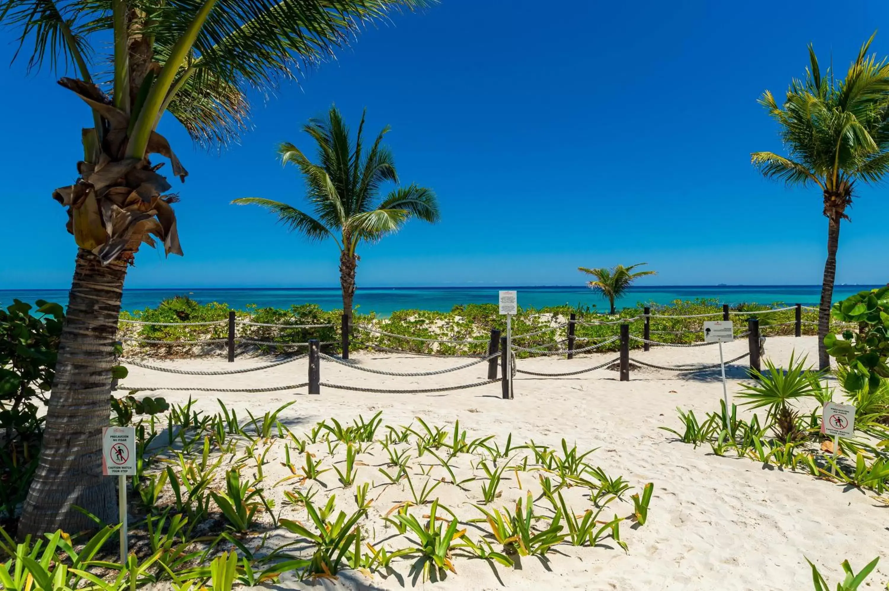 Beach in Mareazul Beach Front Condos At playa del Carmen