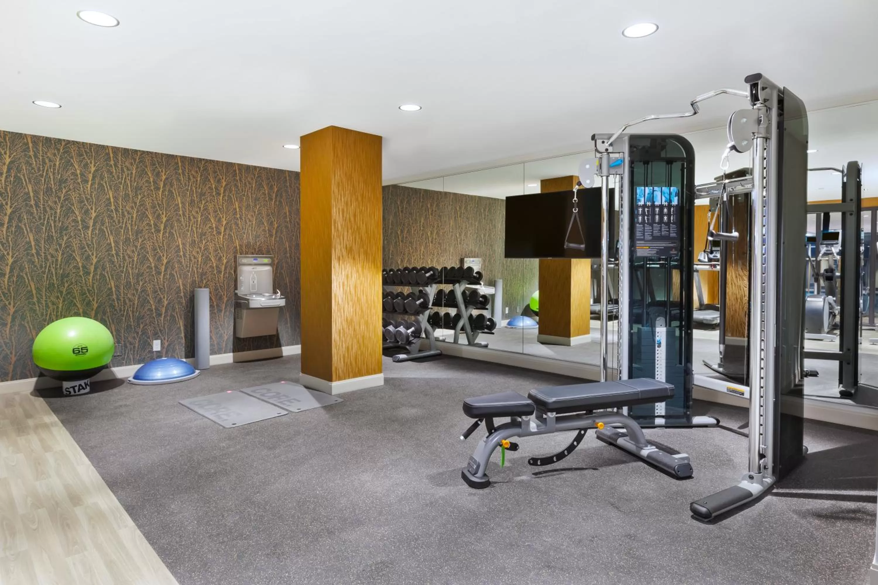 Fitness centre/facilities in Hotel Indigo Rochester - Mayo Clinic Area by IHG