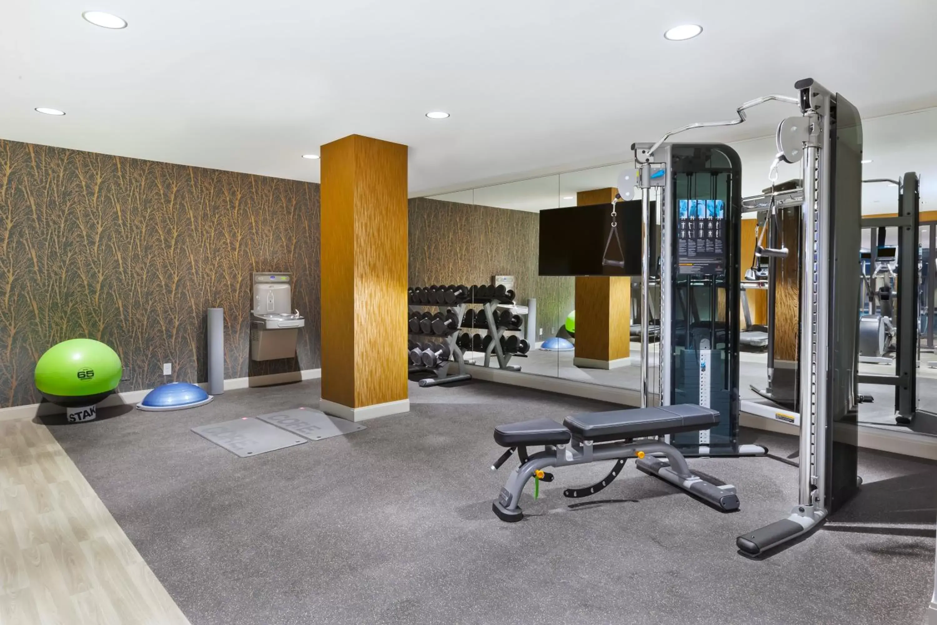 Spa and wellness centre/facilities, Fitness Center/Facilities in Hotel Indigo Rochester - Mayo Clinic Area