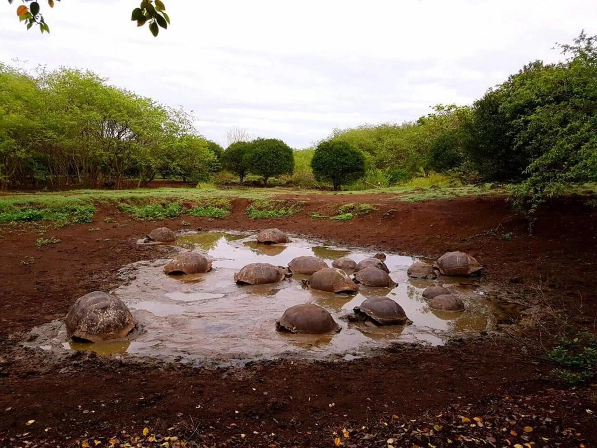 Other in Torre Mar Galapagos Boutique Suites
