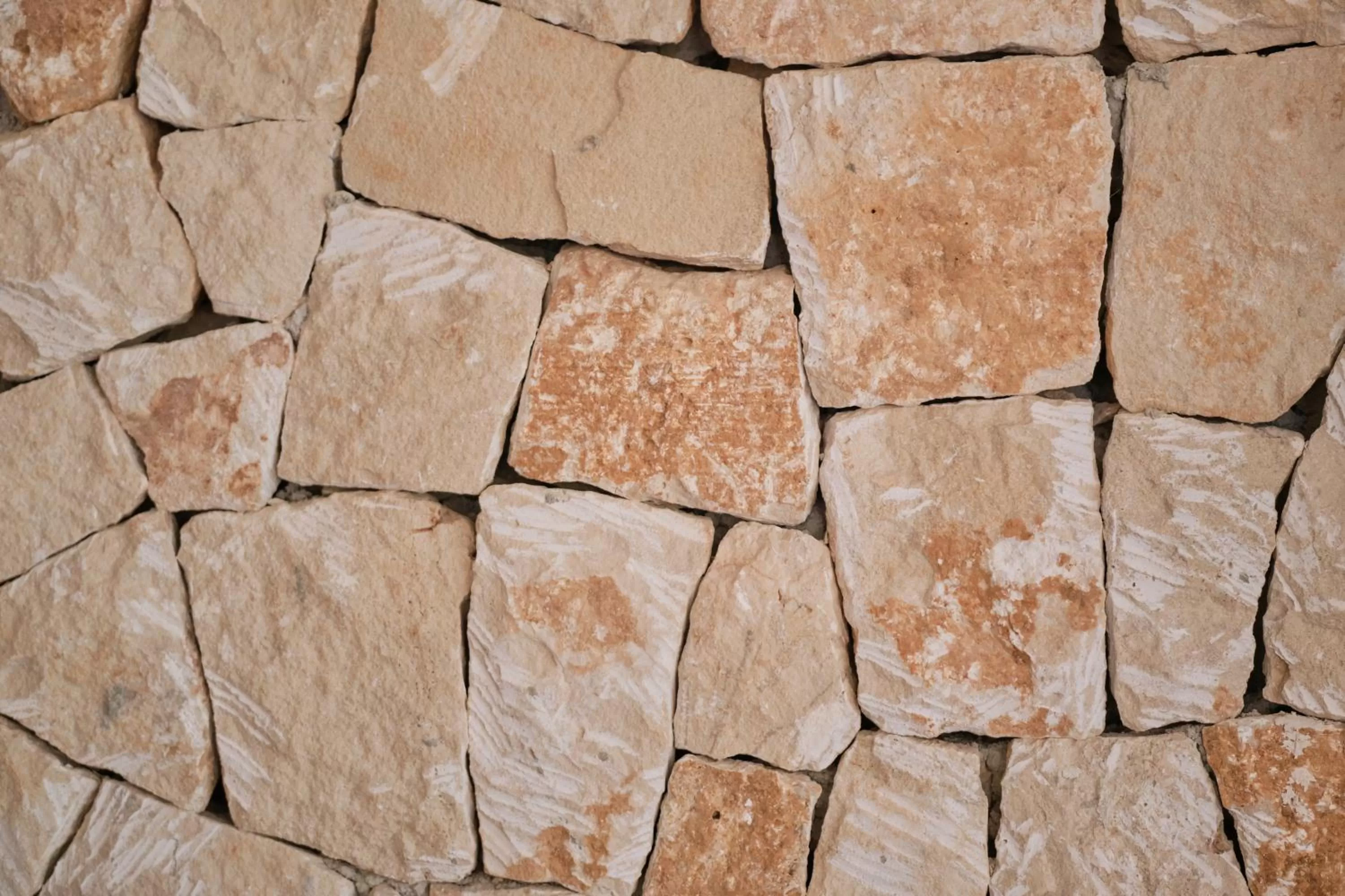 Restaurant/places to eat in Hotel Villa Chiquita - Adults Only - Over 12