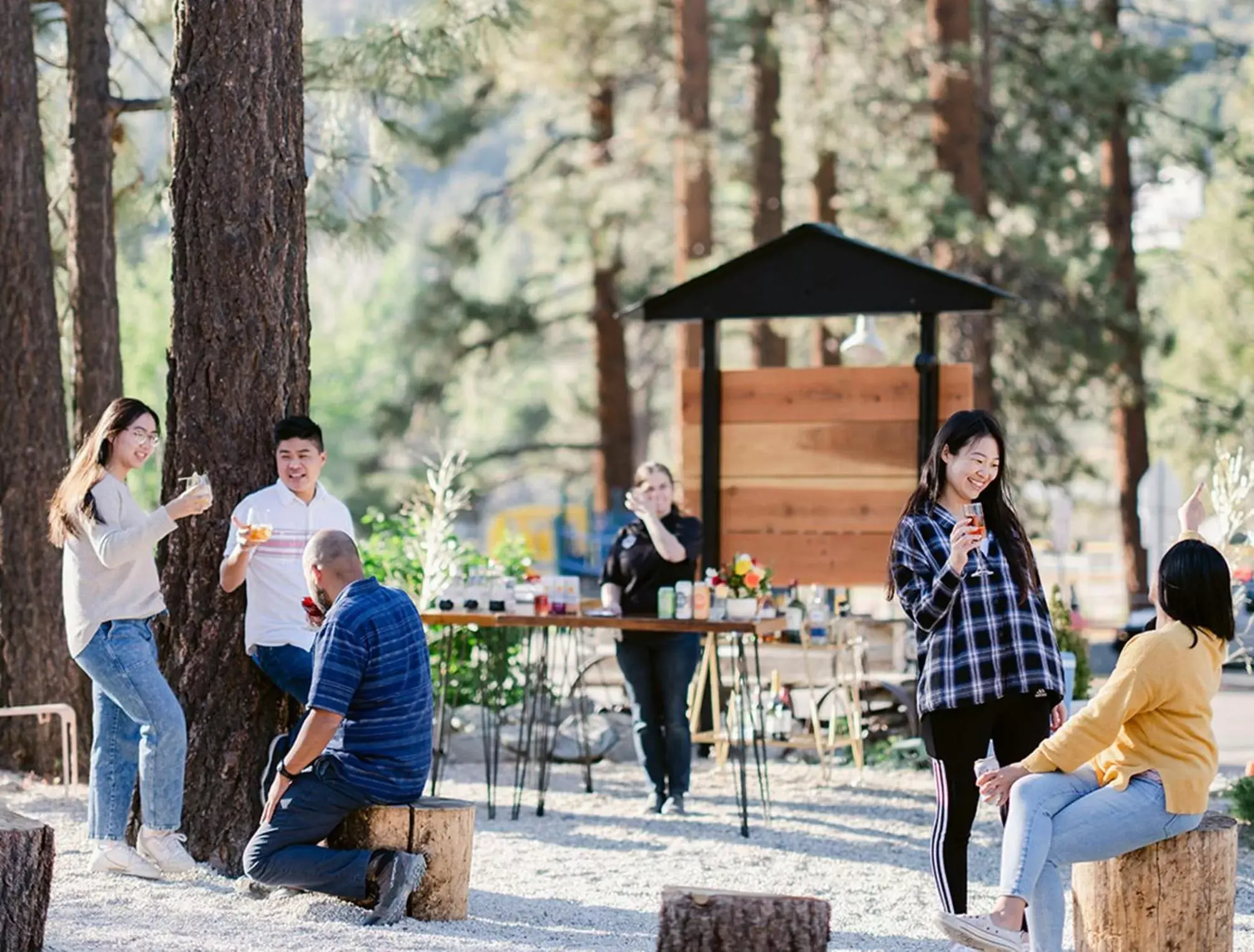 Food and drinks in Grand Pine Cabins