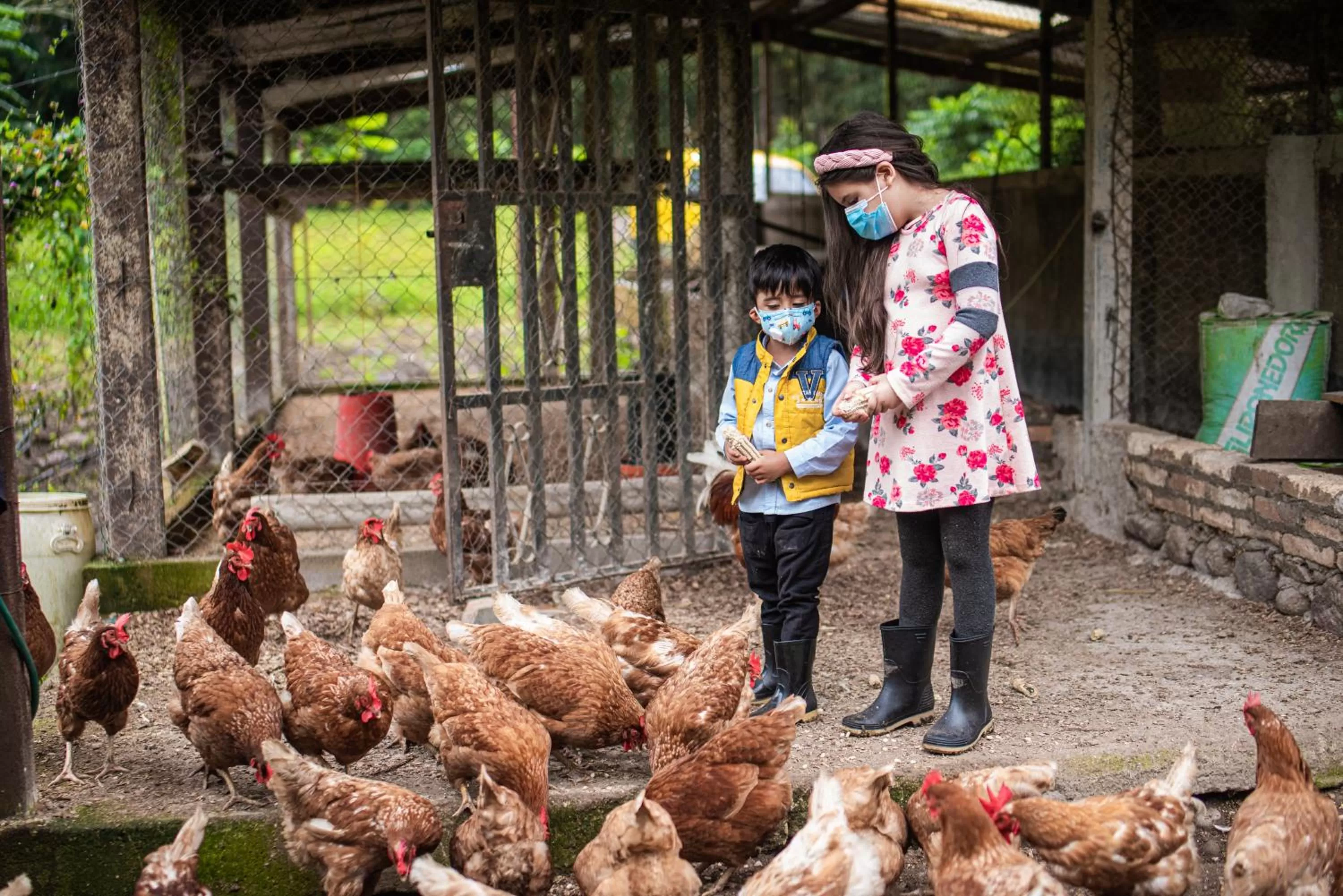 Entertainment in Hotel de Campo Villa de Ada