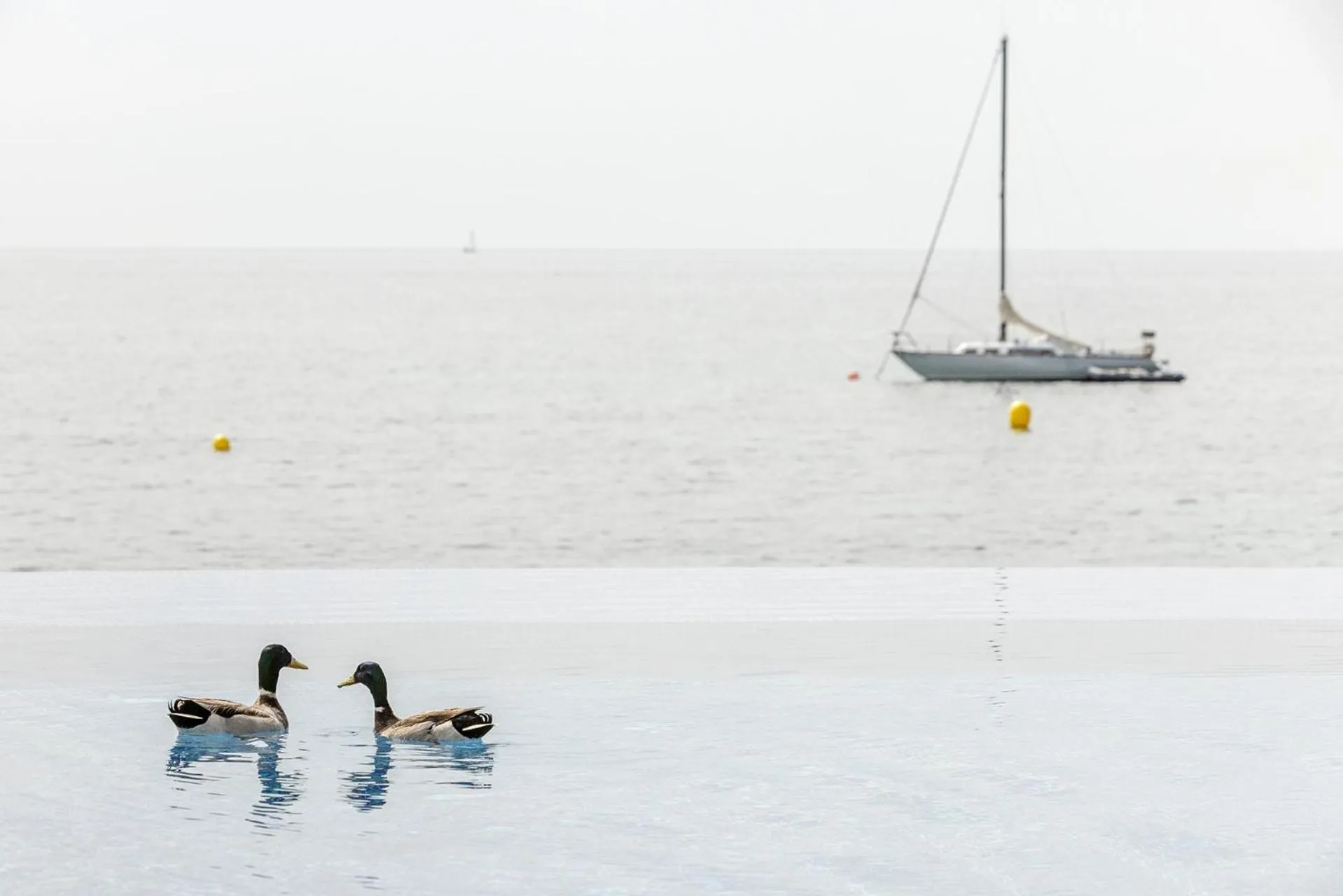 Pool view in Hospes Maricel y Spa, Palma de Mallorca, a Member of Design Hotels