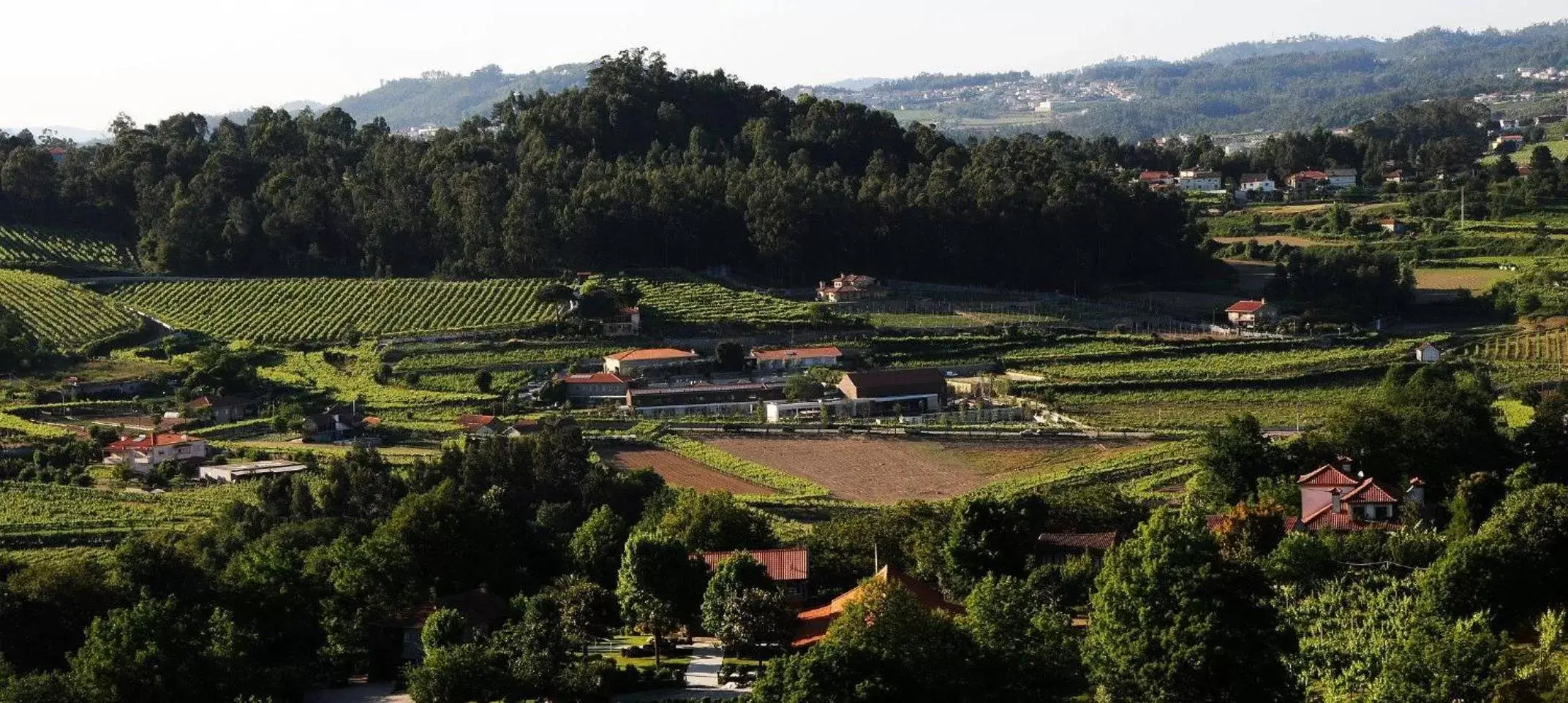 Bird's eye view, Bird's-eye View in FH Hotel Rural