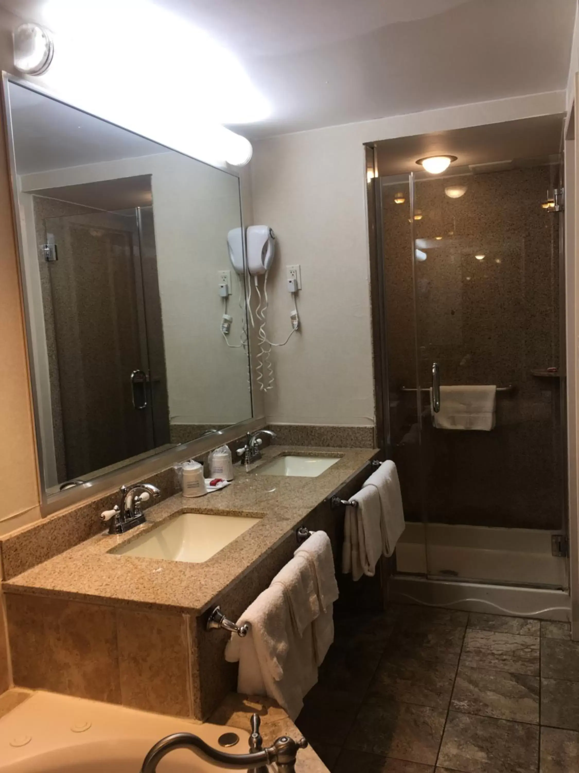 Shower, Bathroom in Ramada by Wyndham Rockville Centre