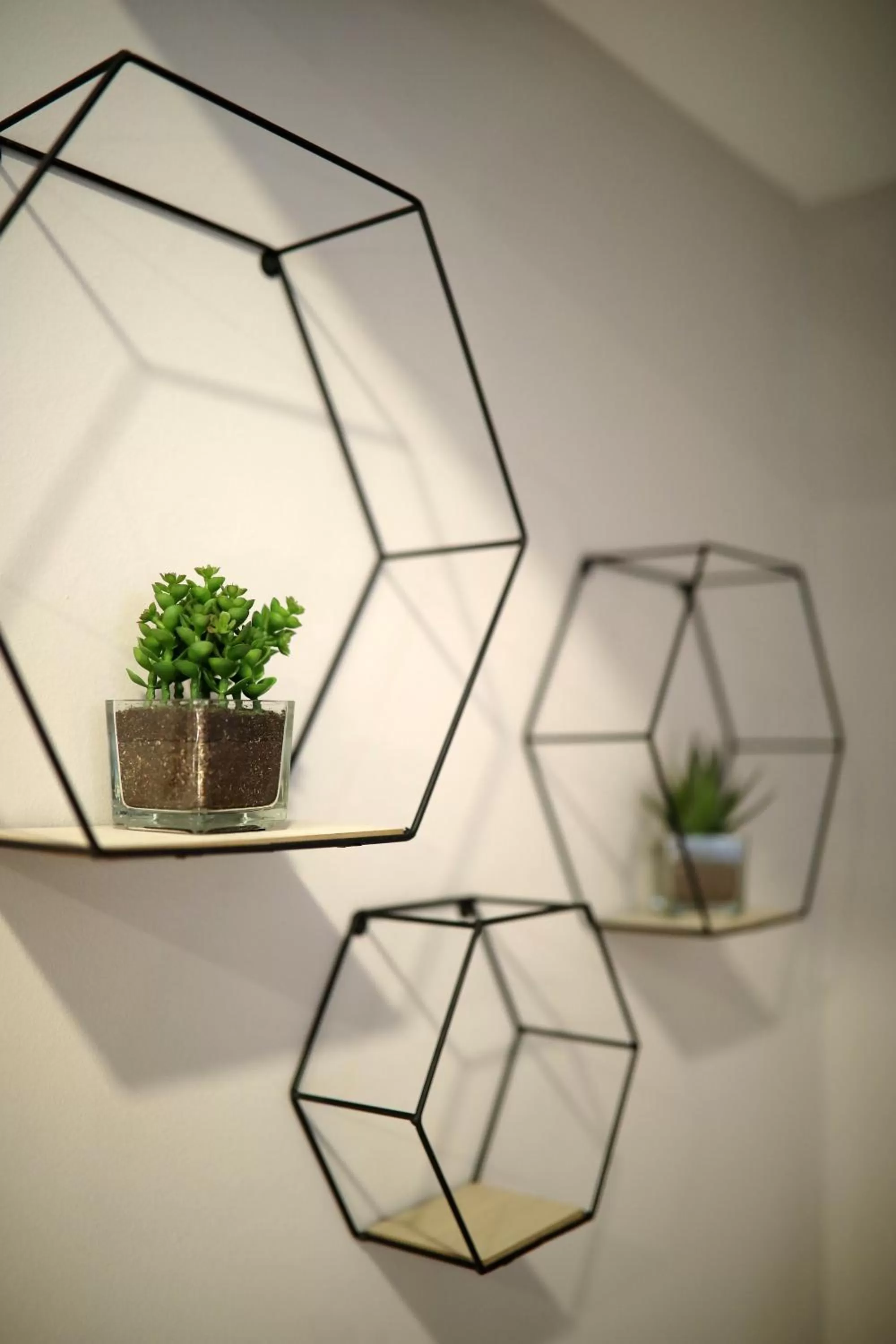 Teatro Verdi Accommodation