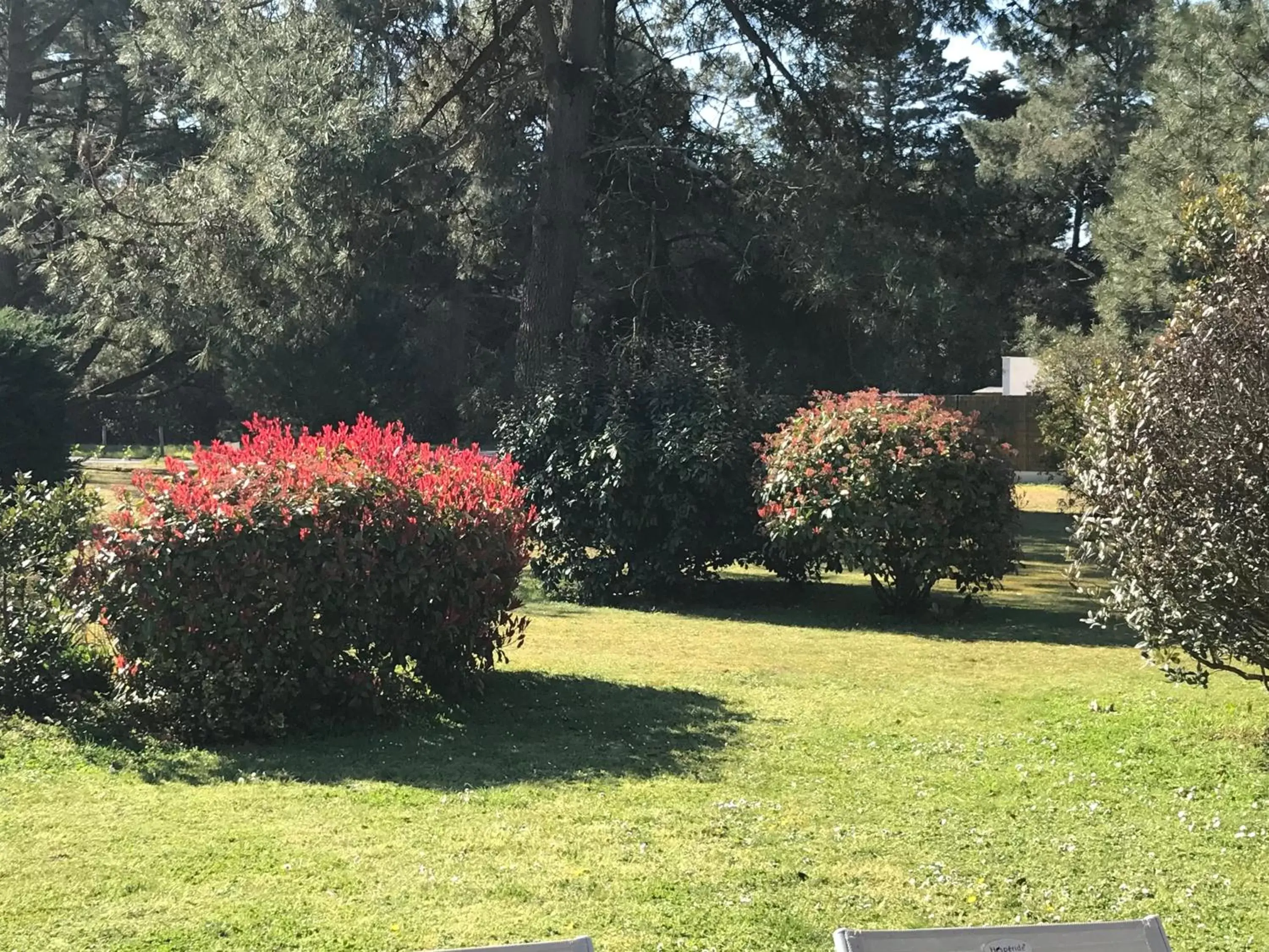 Garden in le 25 l'océan