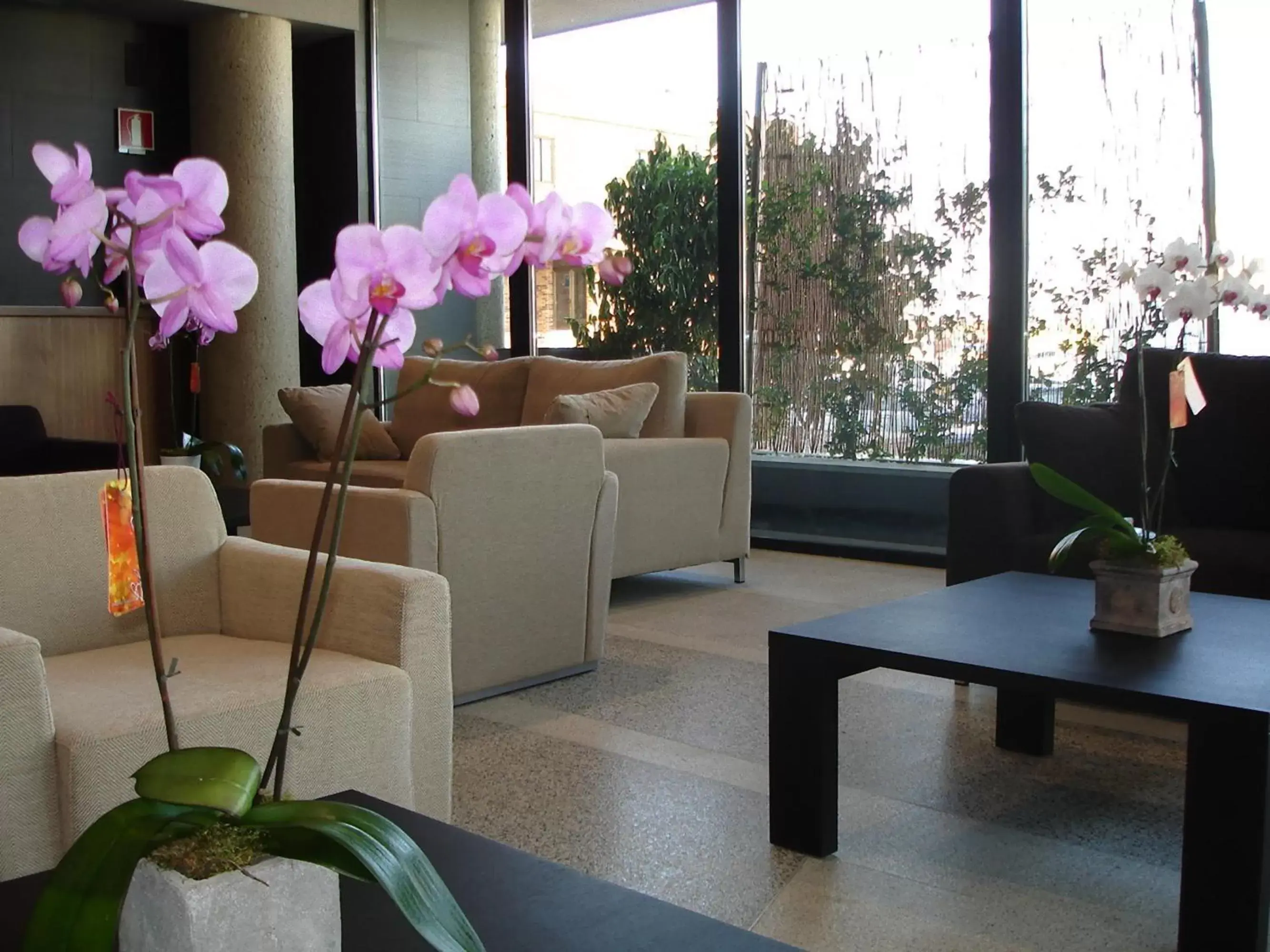 Lounge or bar, Seating Area in Hotel & Spa Real Ciudad De Zaragoza