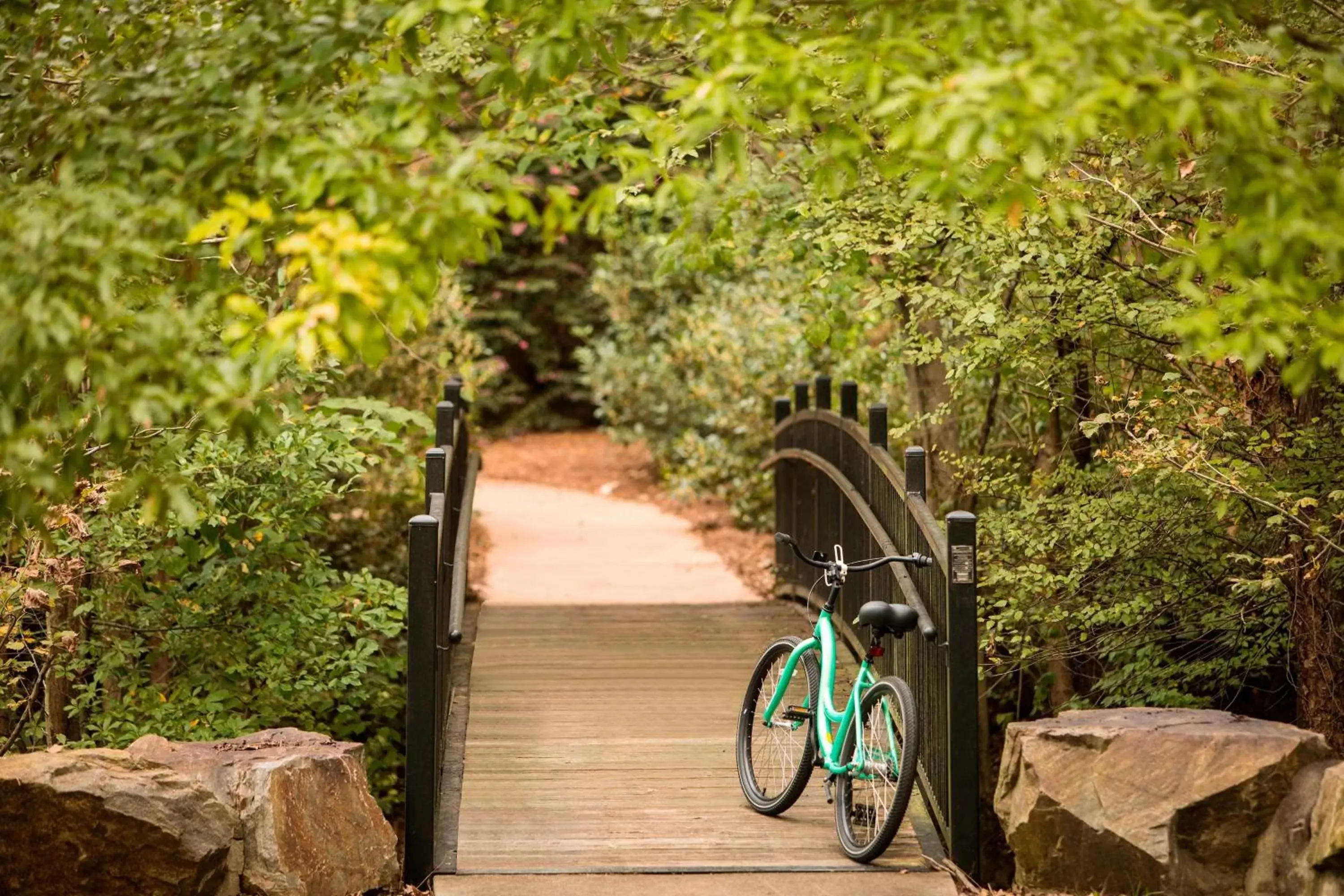 Cycling in The Ballantyne, a Luxury Collection Hotel, Charlotte