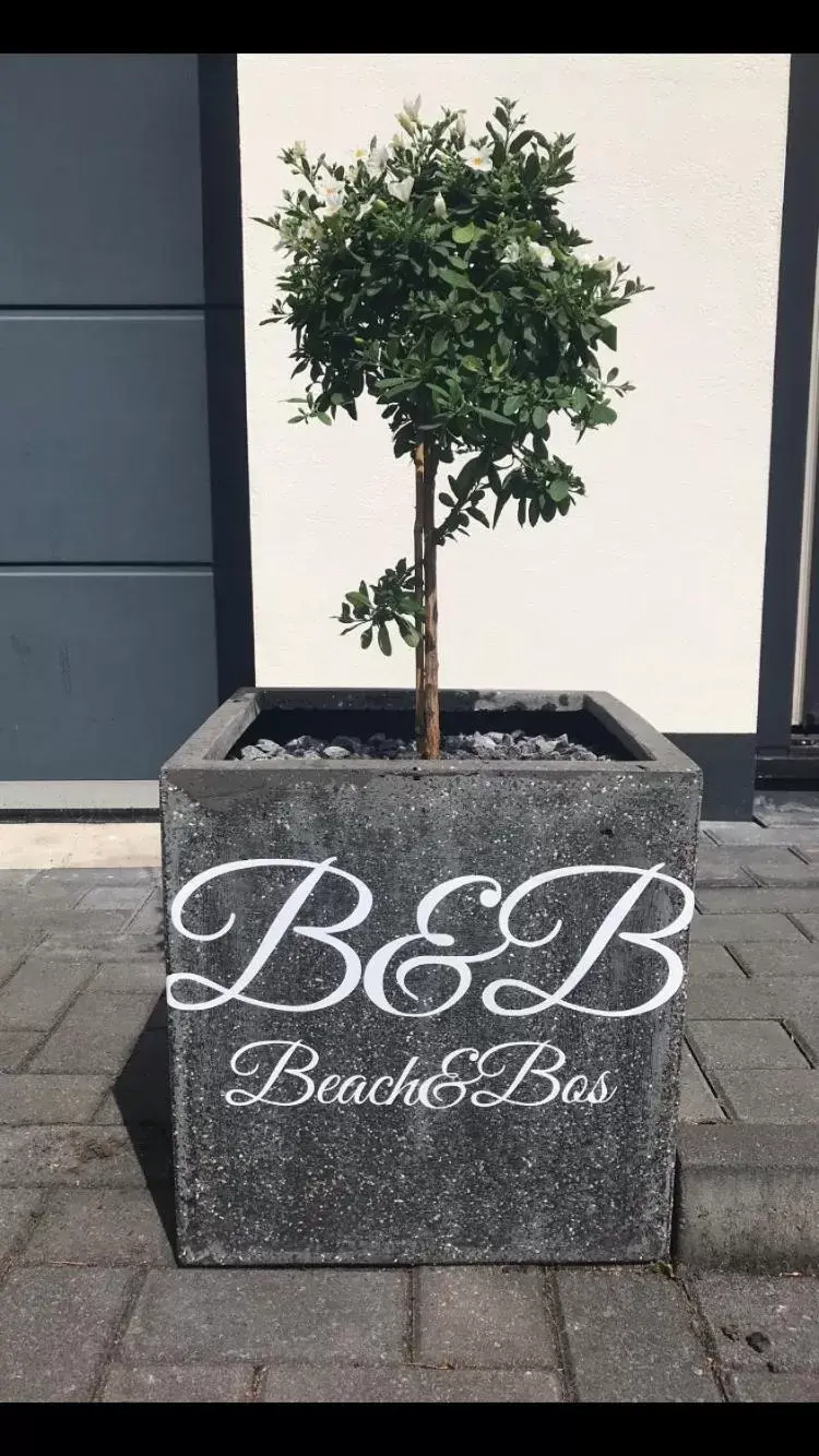 Property Logo/Sign in B&B Beach&Bos