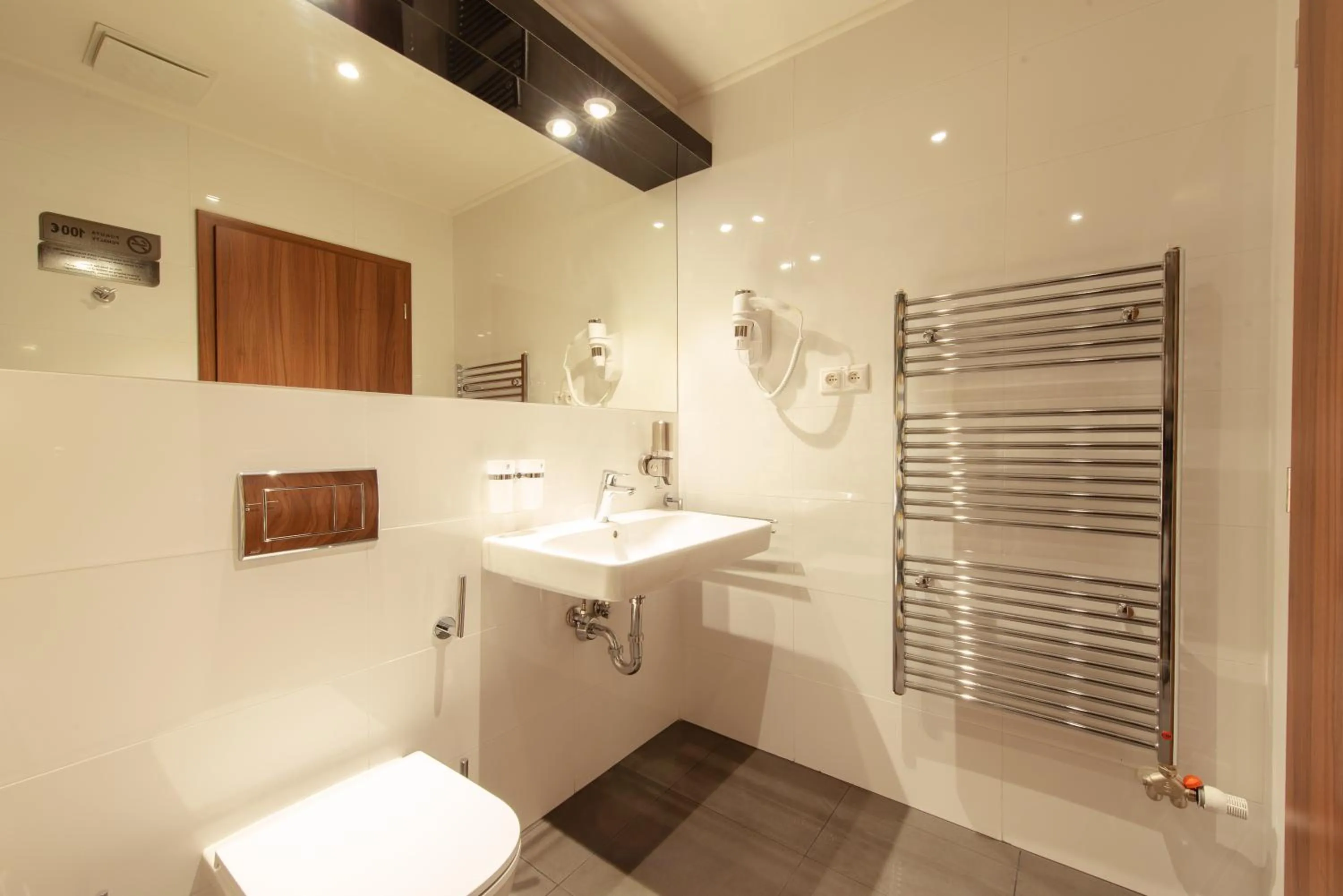 Property building in Hotel Viktor