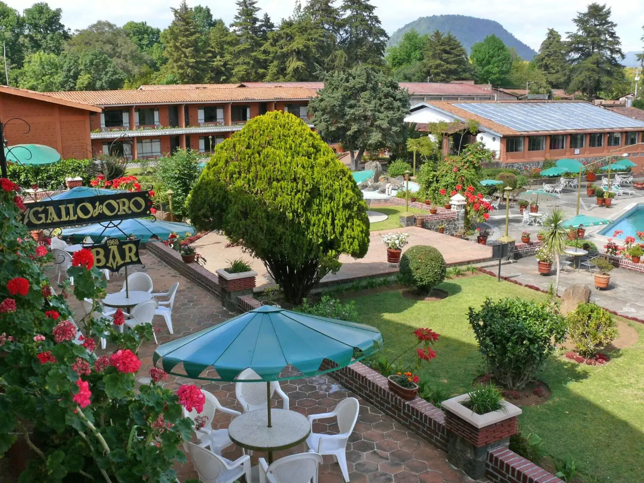 Area and facilities, Pool View in Hotel Pie de la Sierra