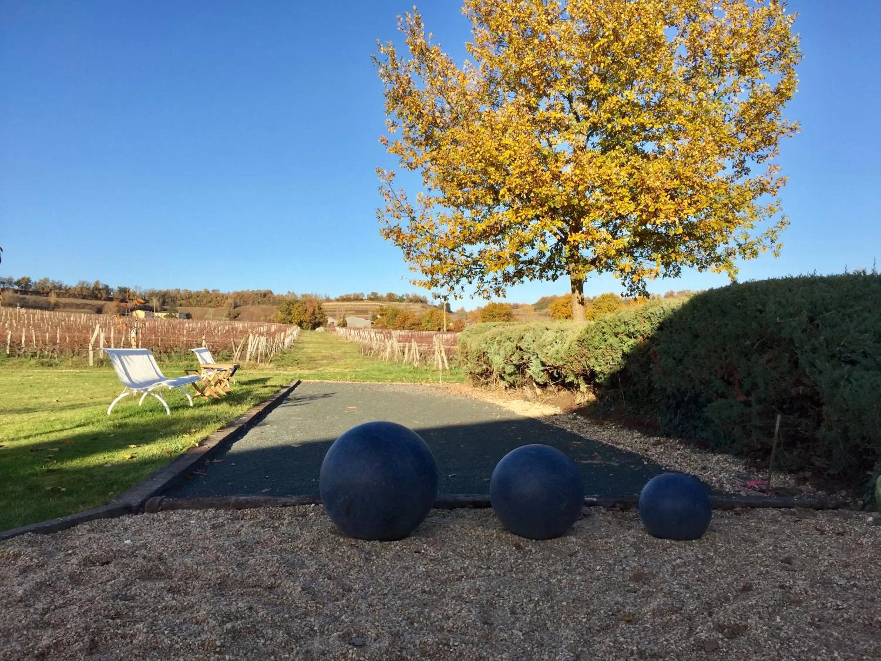 Garden in Chateau du Palanquey & SPA