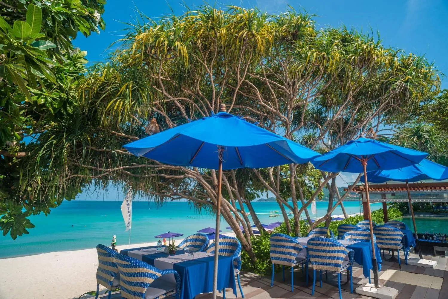 Restaurant/places to eat in Synergy Samui