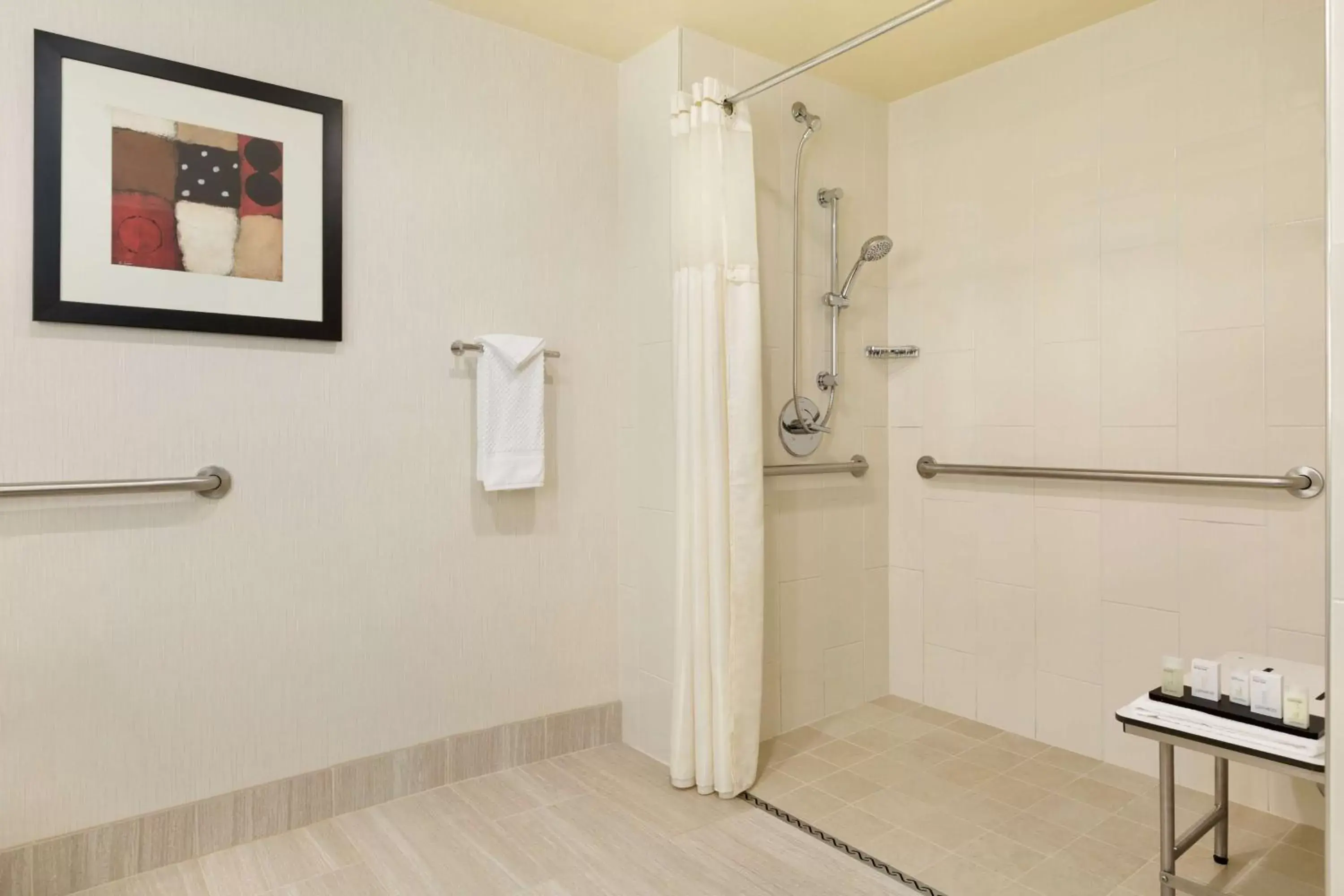 Shower, Bathroom in Embassy Suites by Hilton Chicago North Shore Deerfield