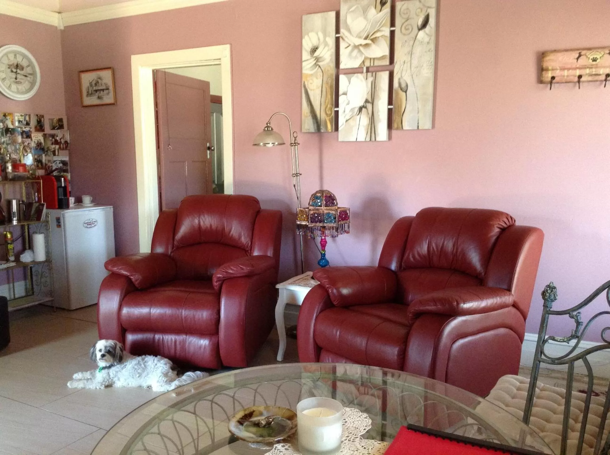 Living room in Must Love Dogs B&B & Self Contained Cottage