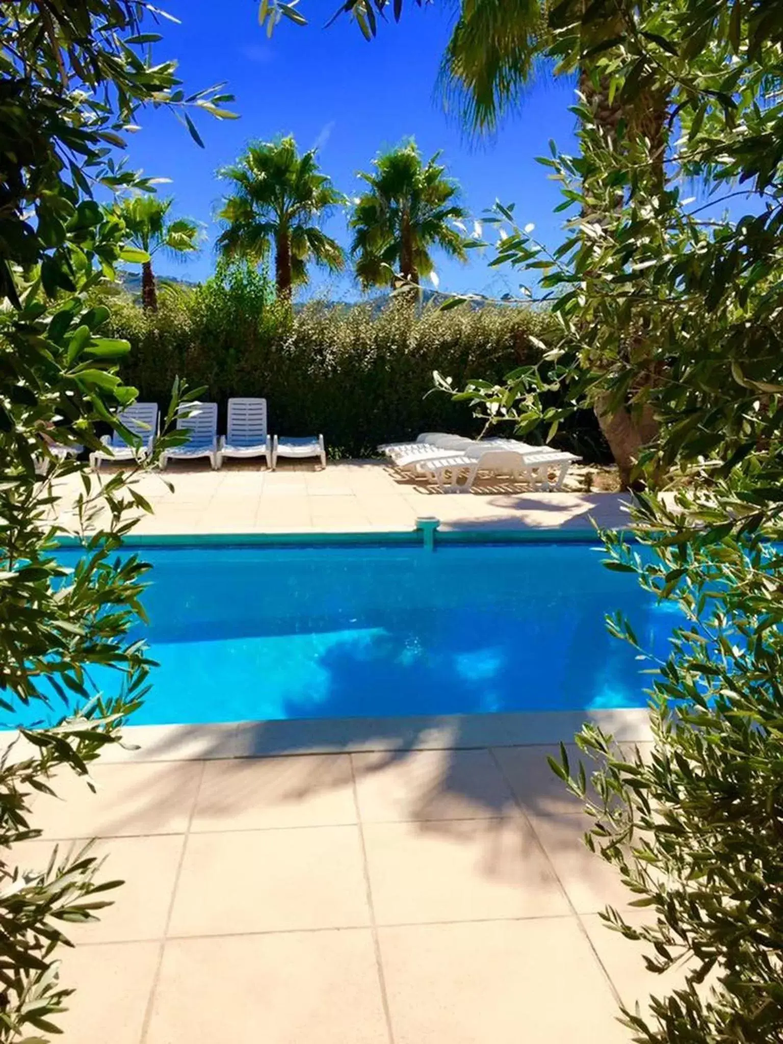 Swimming Pool in Domaine de l'Aufrene