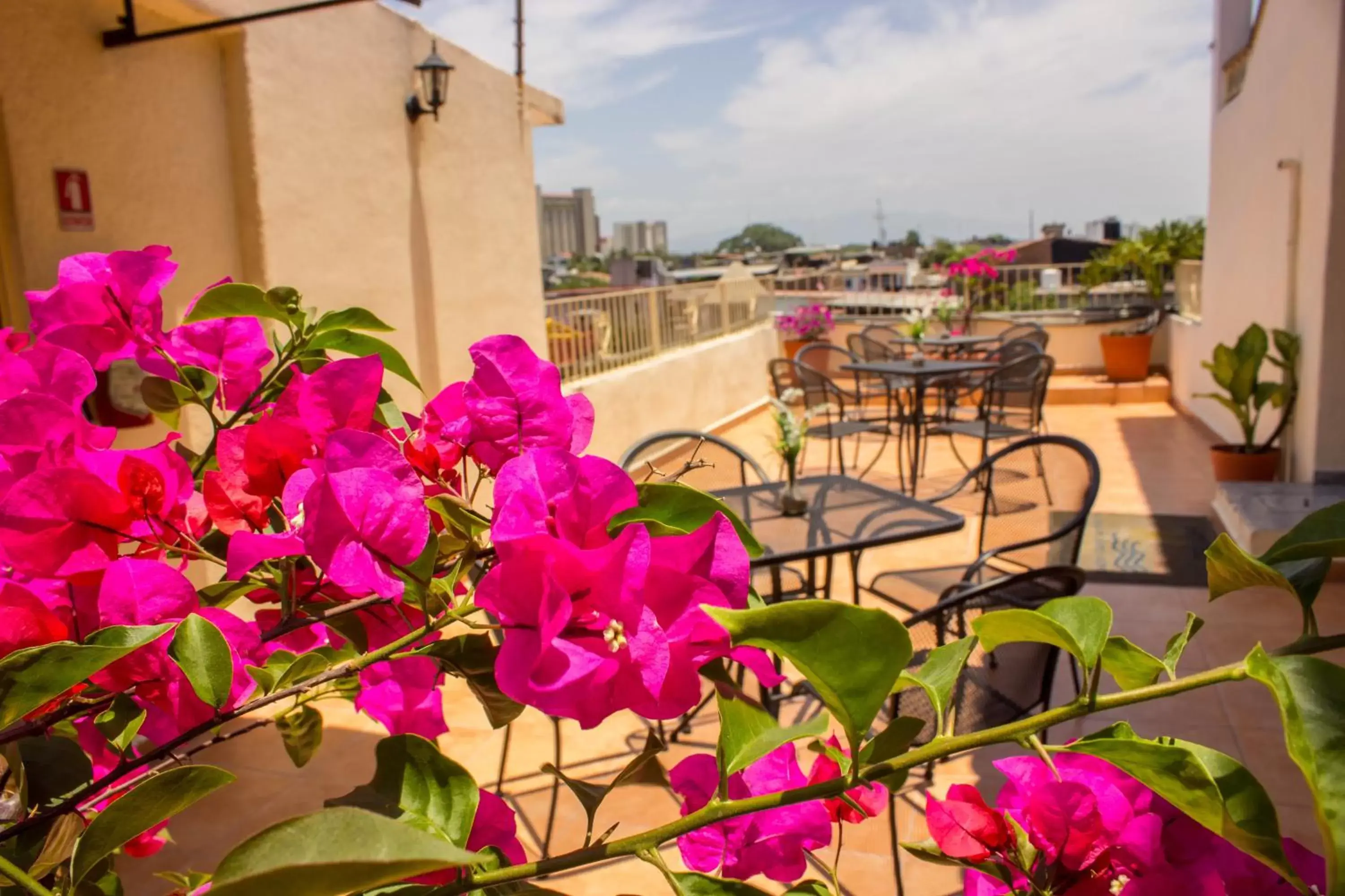 Balcony/Terrace in Mocali