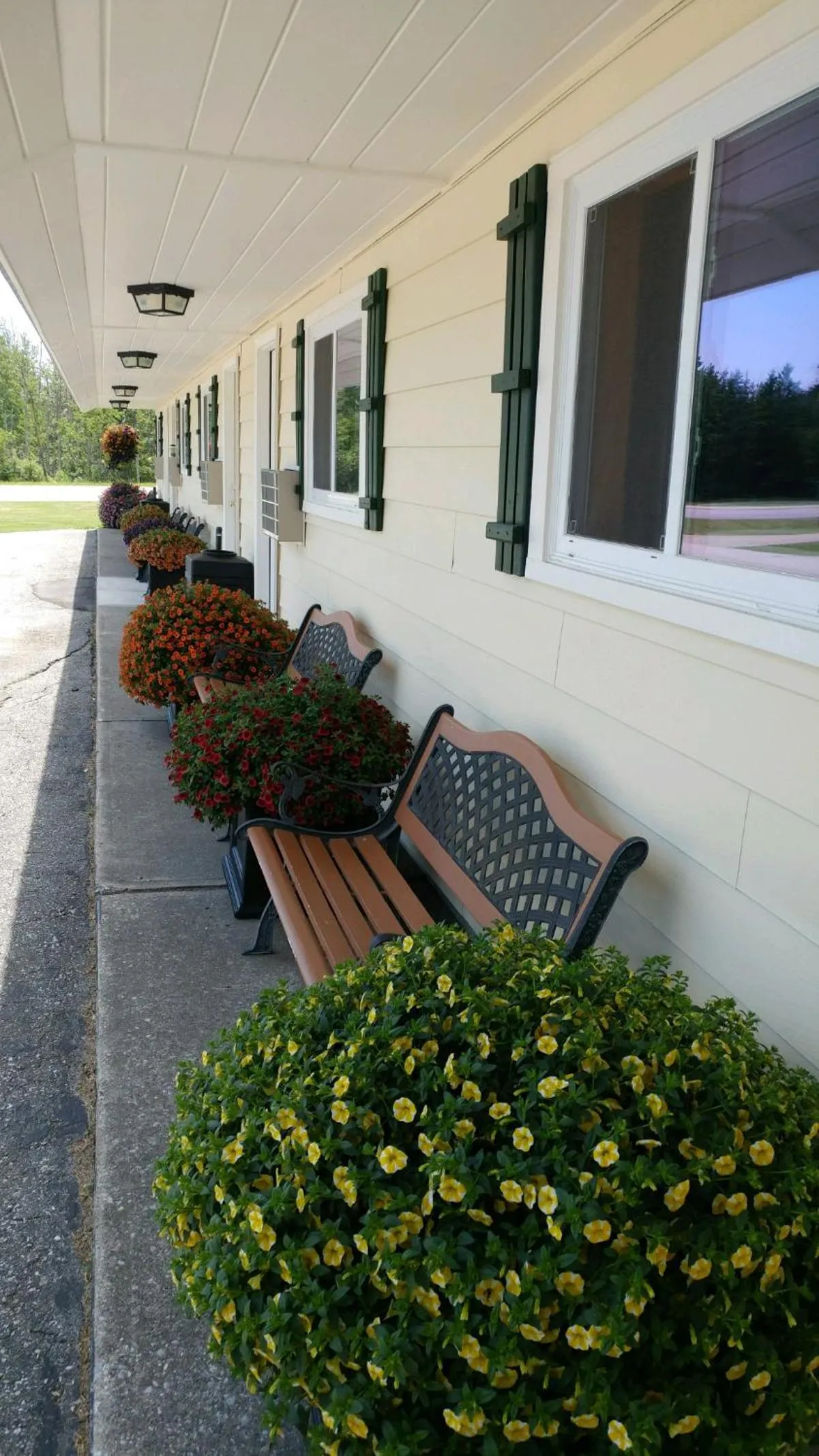 Sunset Motel at Armand's Gardens