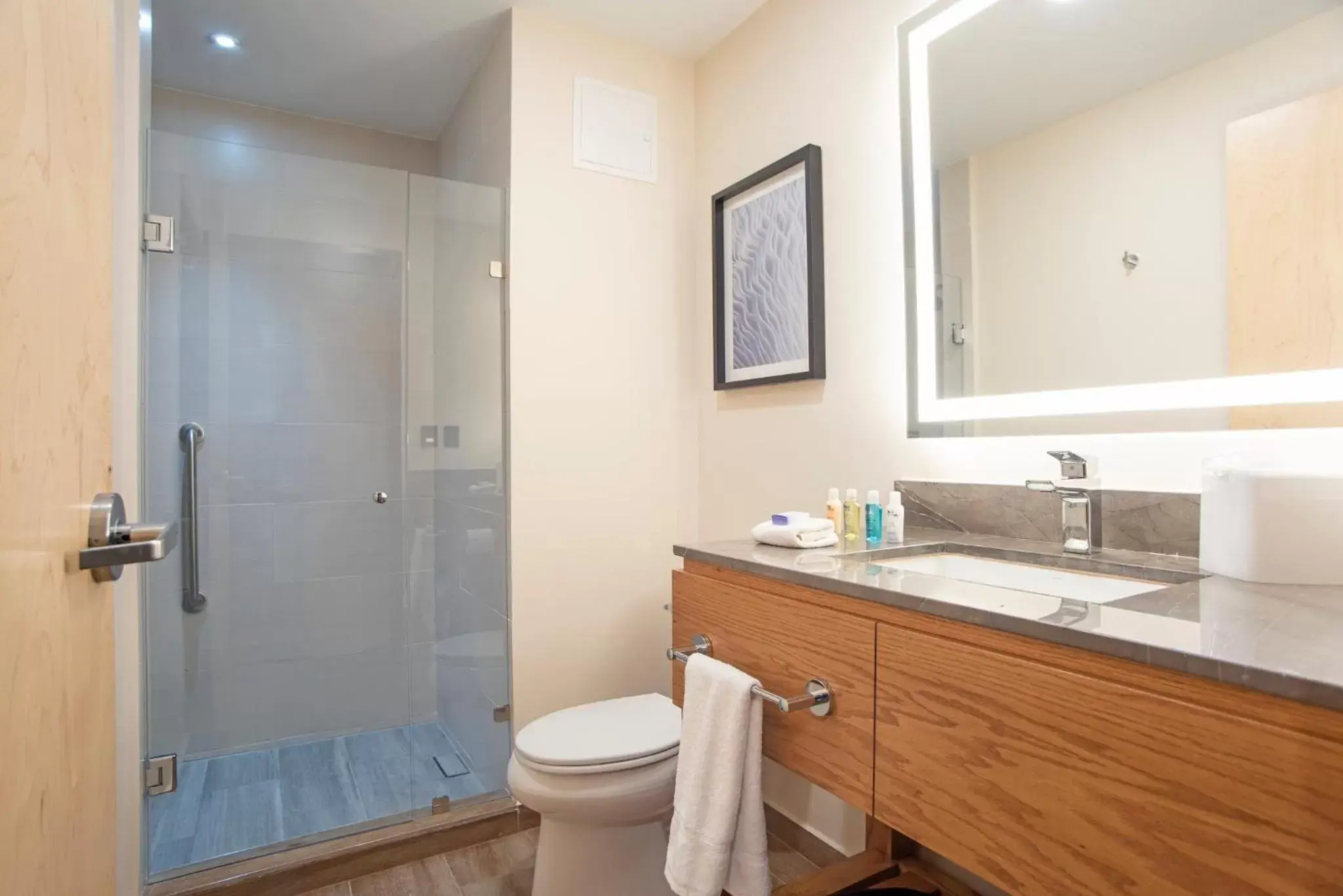 Photo of the whole room, Bathroom in Candlewood Suites - Guadalajara Galerias, an IHG Hotel
