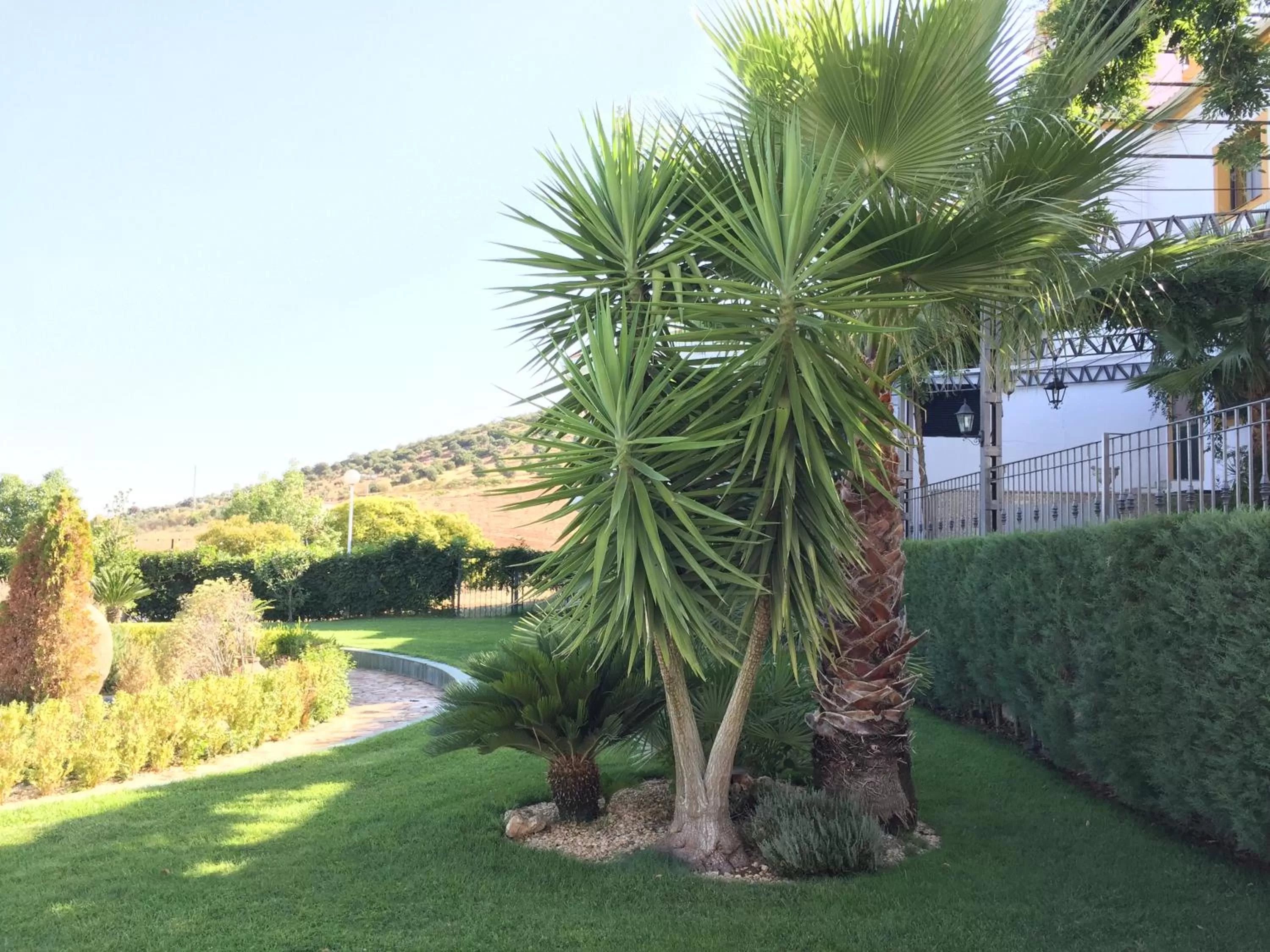 Garden in Apartamentos Atalayas Extremadura