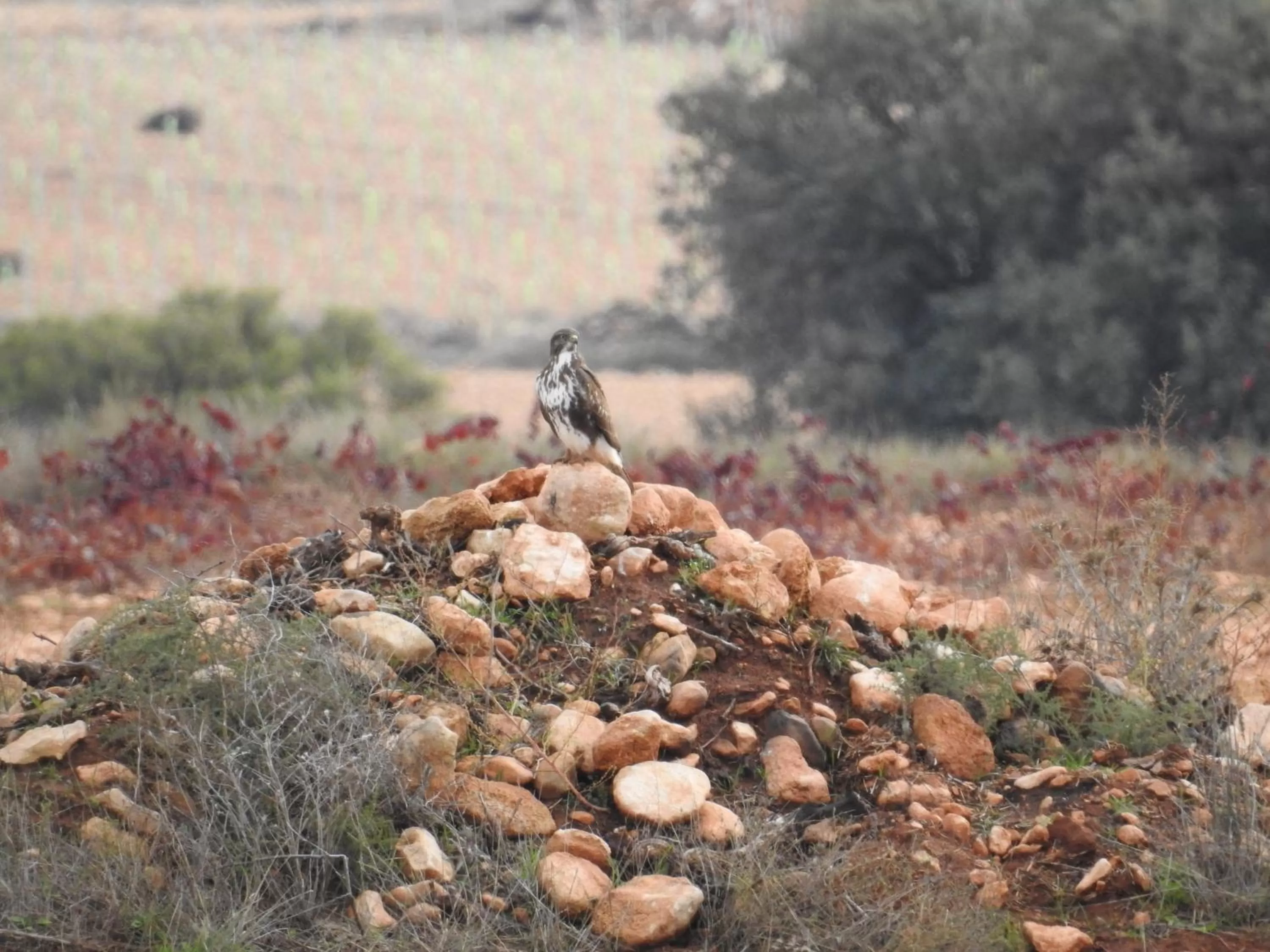 Activities in Finca El Romeral