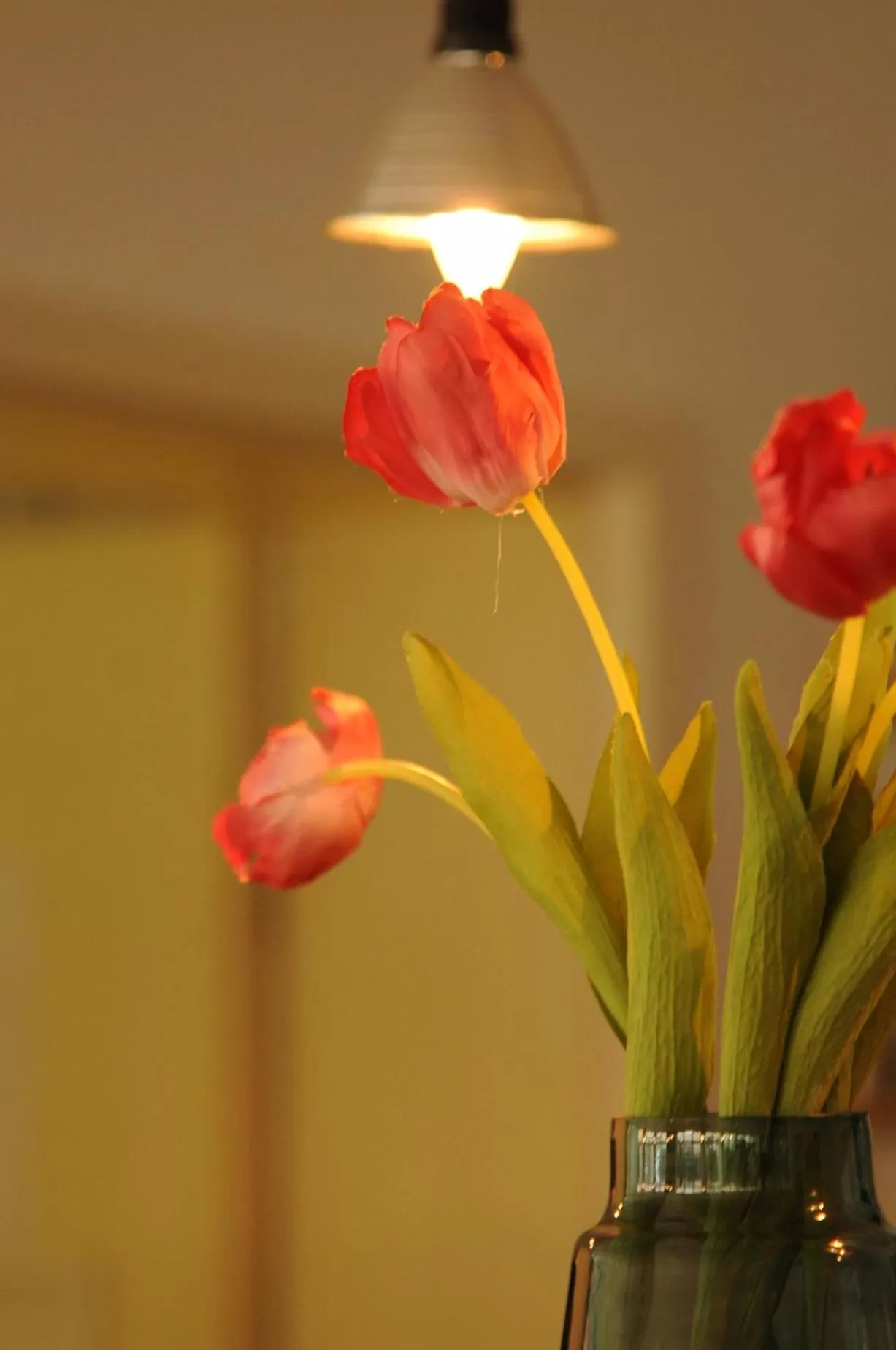 Restaurant/places to eat in hogh Hotel Heilbronn