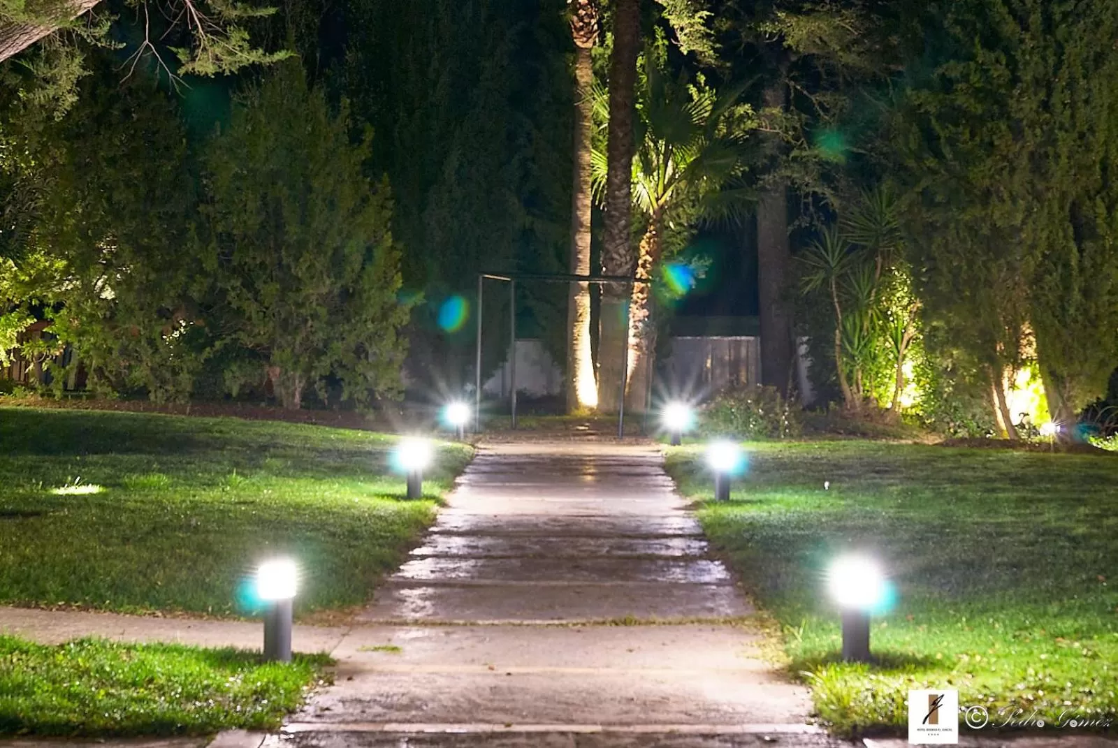 Garden in Hotel Bodega El Juncal