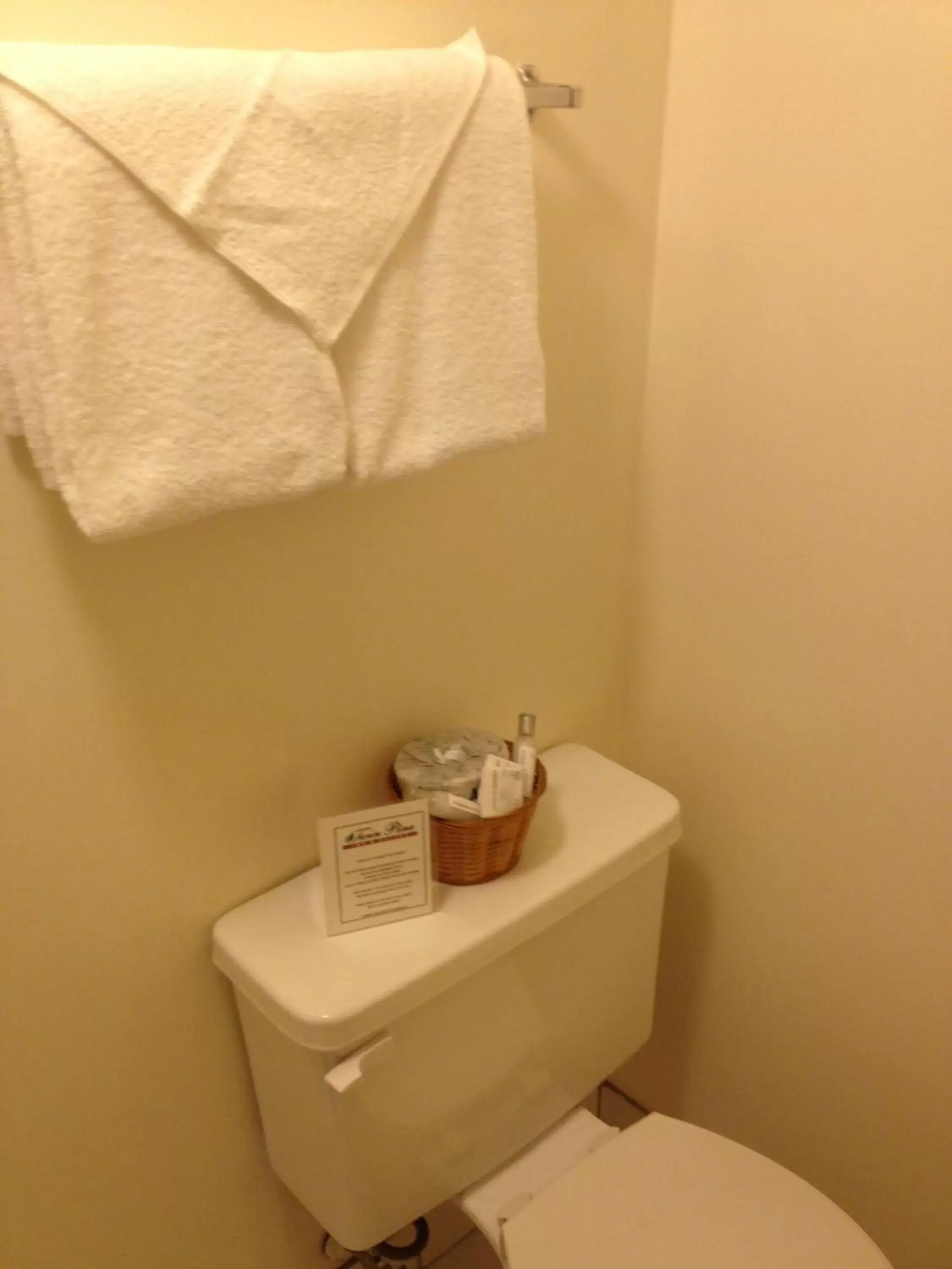 Bathroom in Twin Pine Inn & Suites
