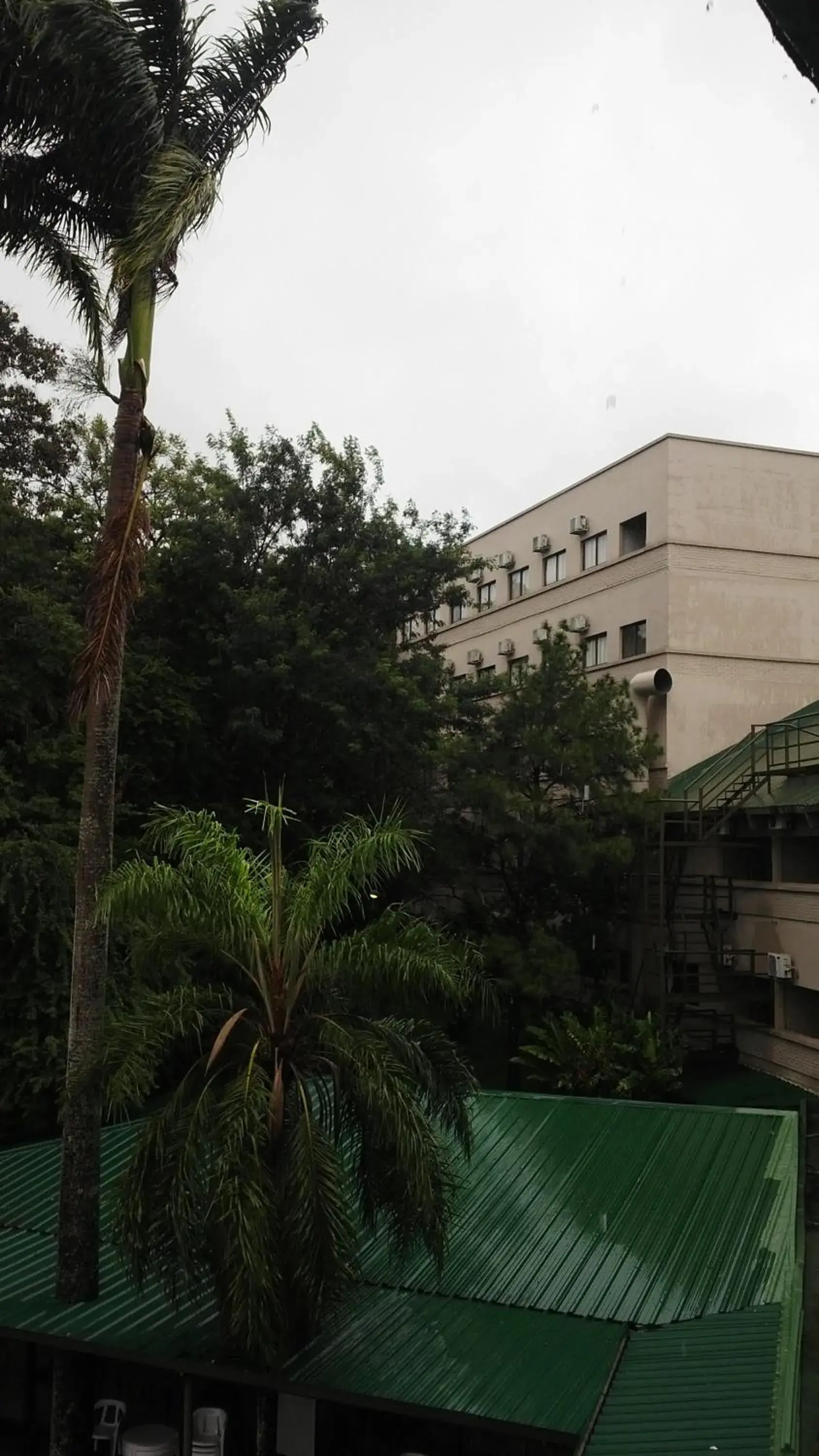 Natural landscape, Property Building in Hotel El Libertador