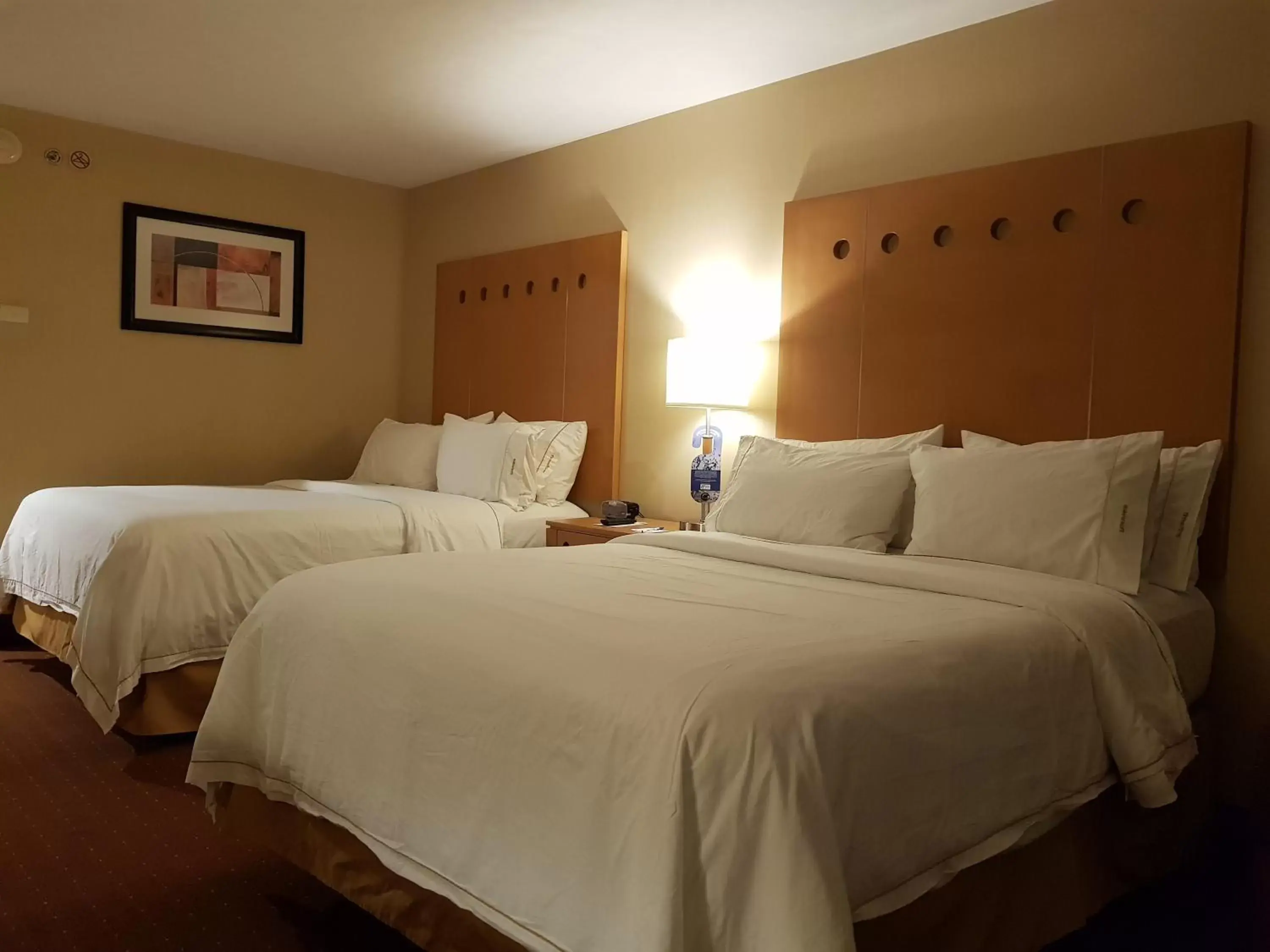 Bed in Holiday Inn Express Saltillo Zona Aeropuerto, an IHG Hotel