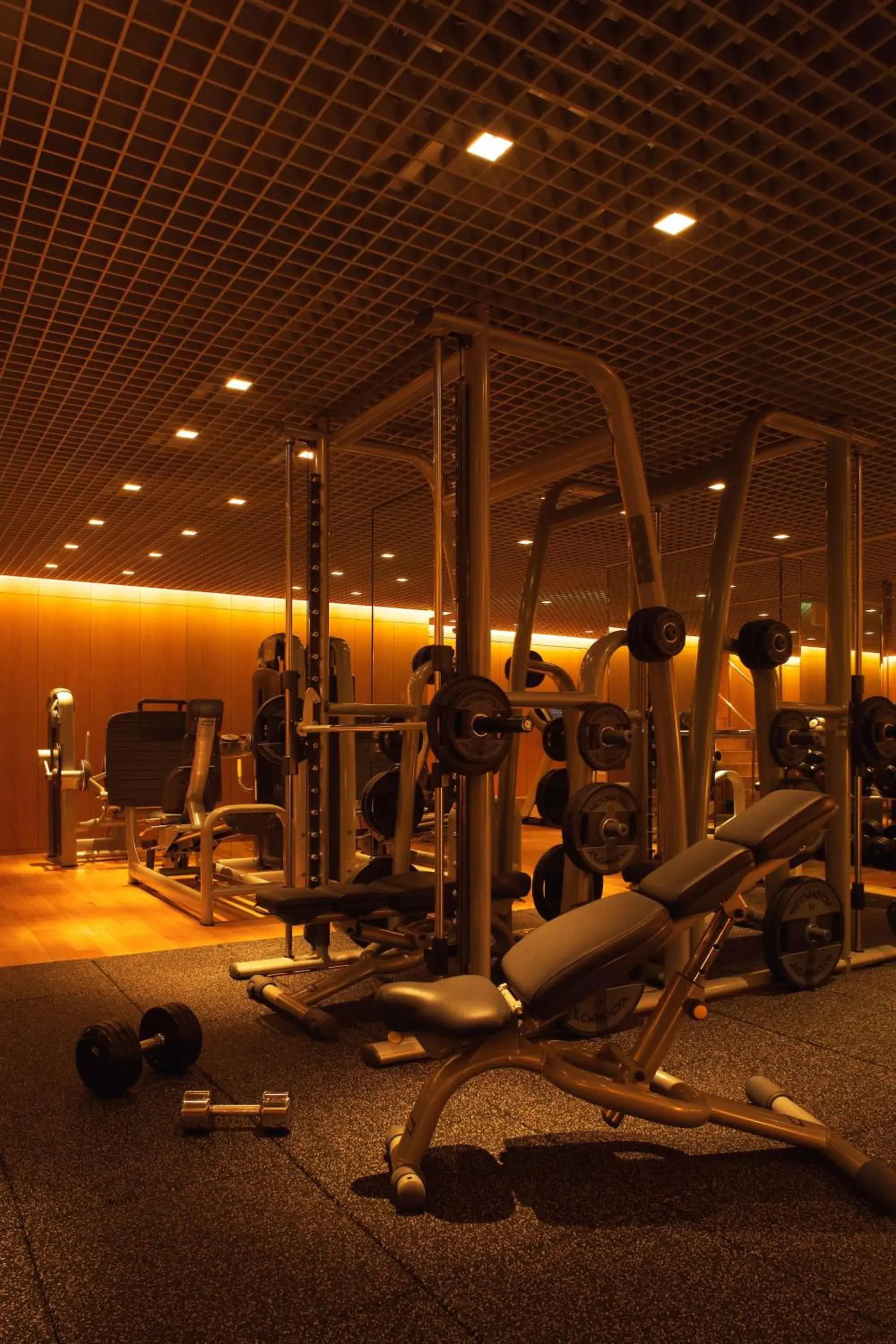 Fitness centre/facilities, Fitness Center/Facilities in Grand Hyatt Tokyo