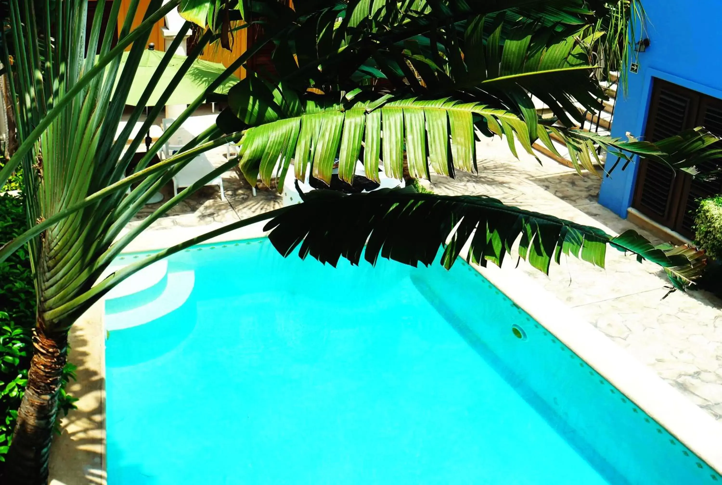 Garden view, Swimming Pool in Merida Santiago Hotel Boutique