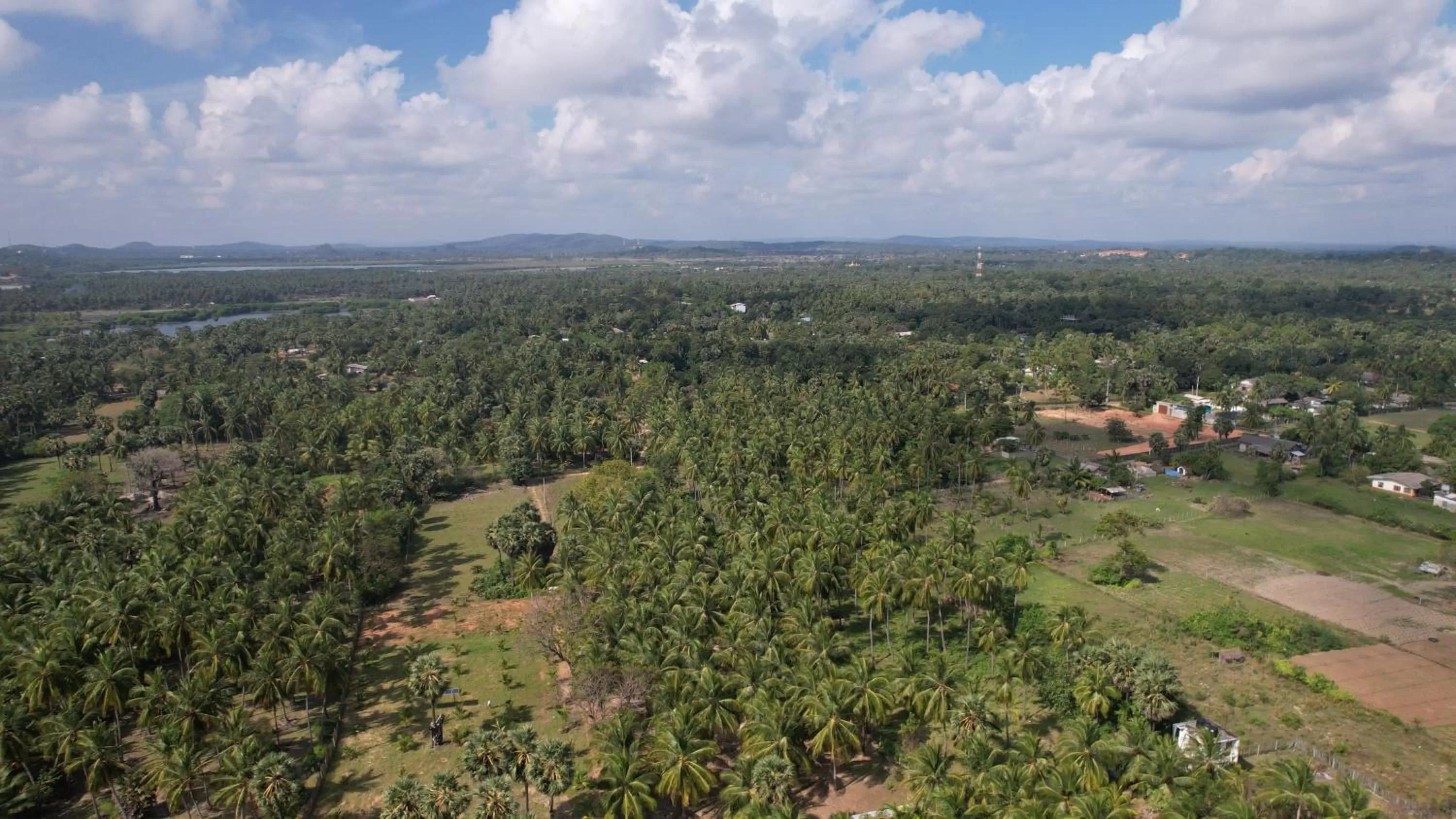 Bird's-eye View in 108 Palms Beach Resort