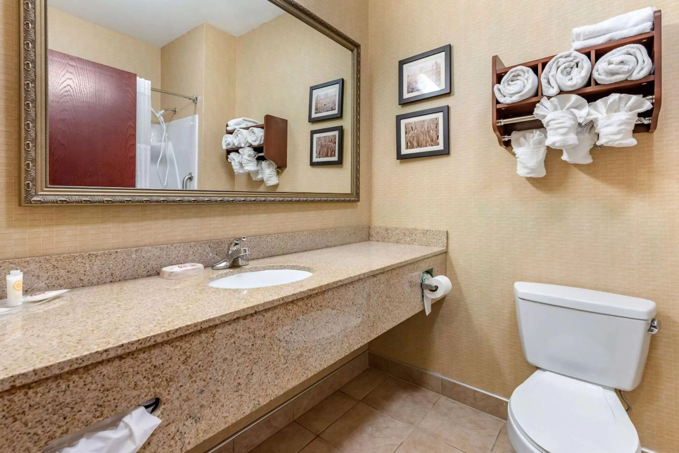 Bathroom in Comfort Suites South Elkhart