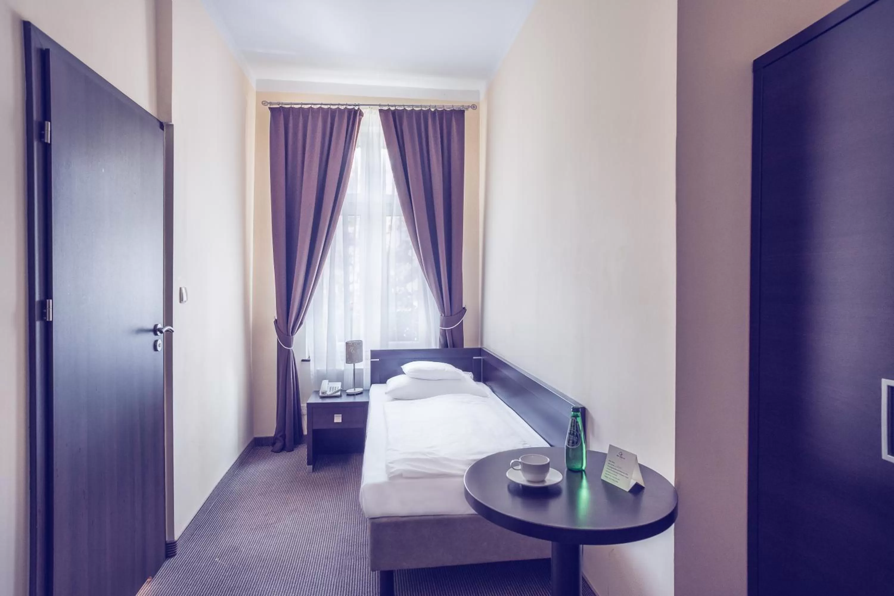 Single Room in Hotel Niemcza Wino & Spa