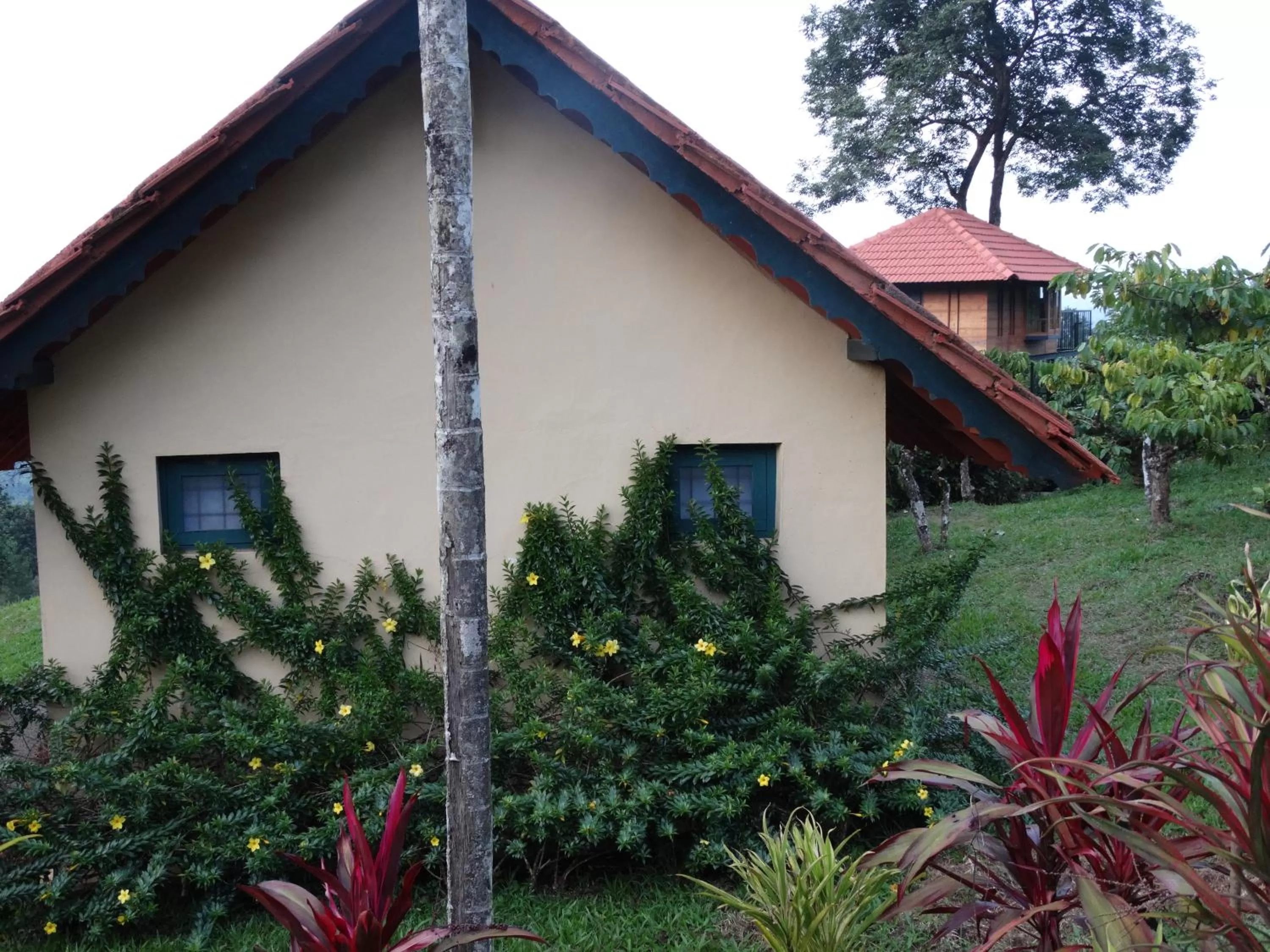 Property Building in Marmalade Springs Resort Wayanad