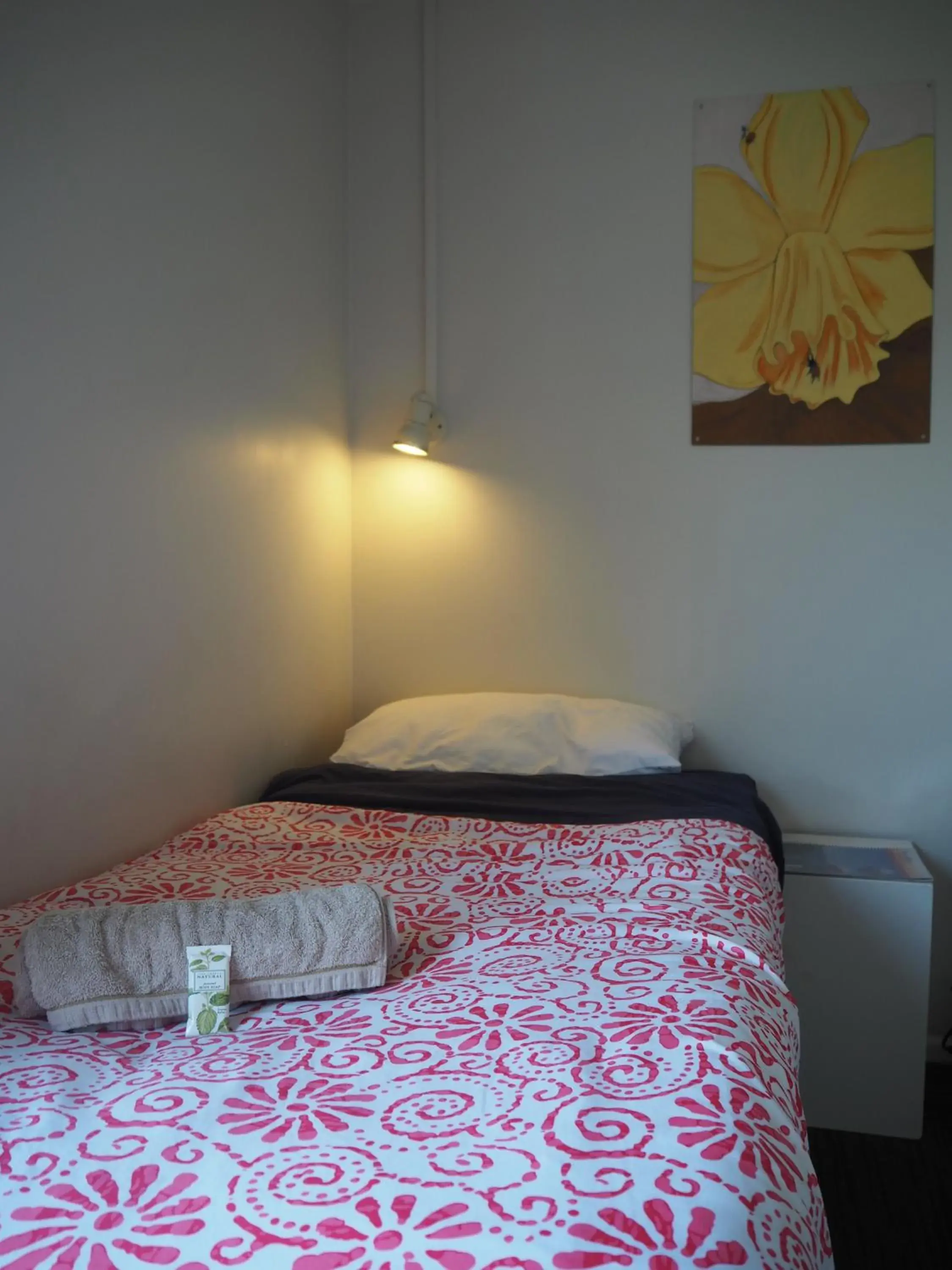 Bed in Tasman Bay Backpackers Bed in Tasman Bay Backpackers