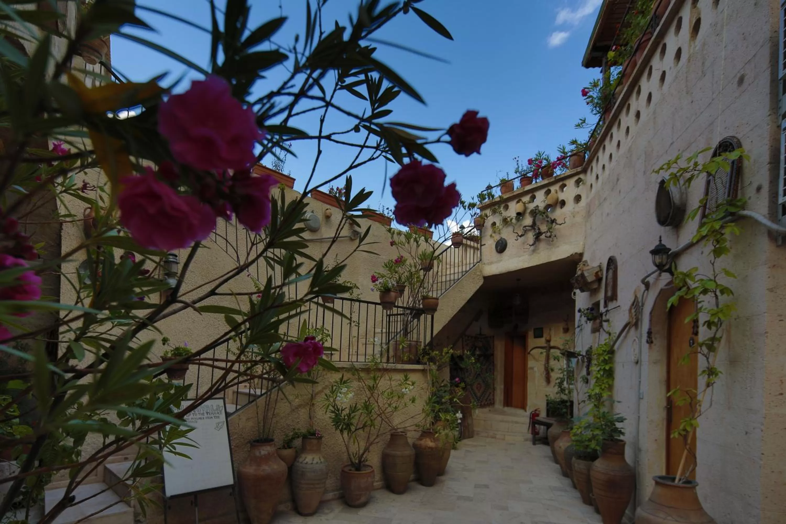 Garden in Kookaburra Hotel