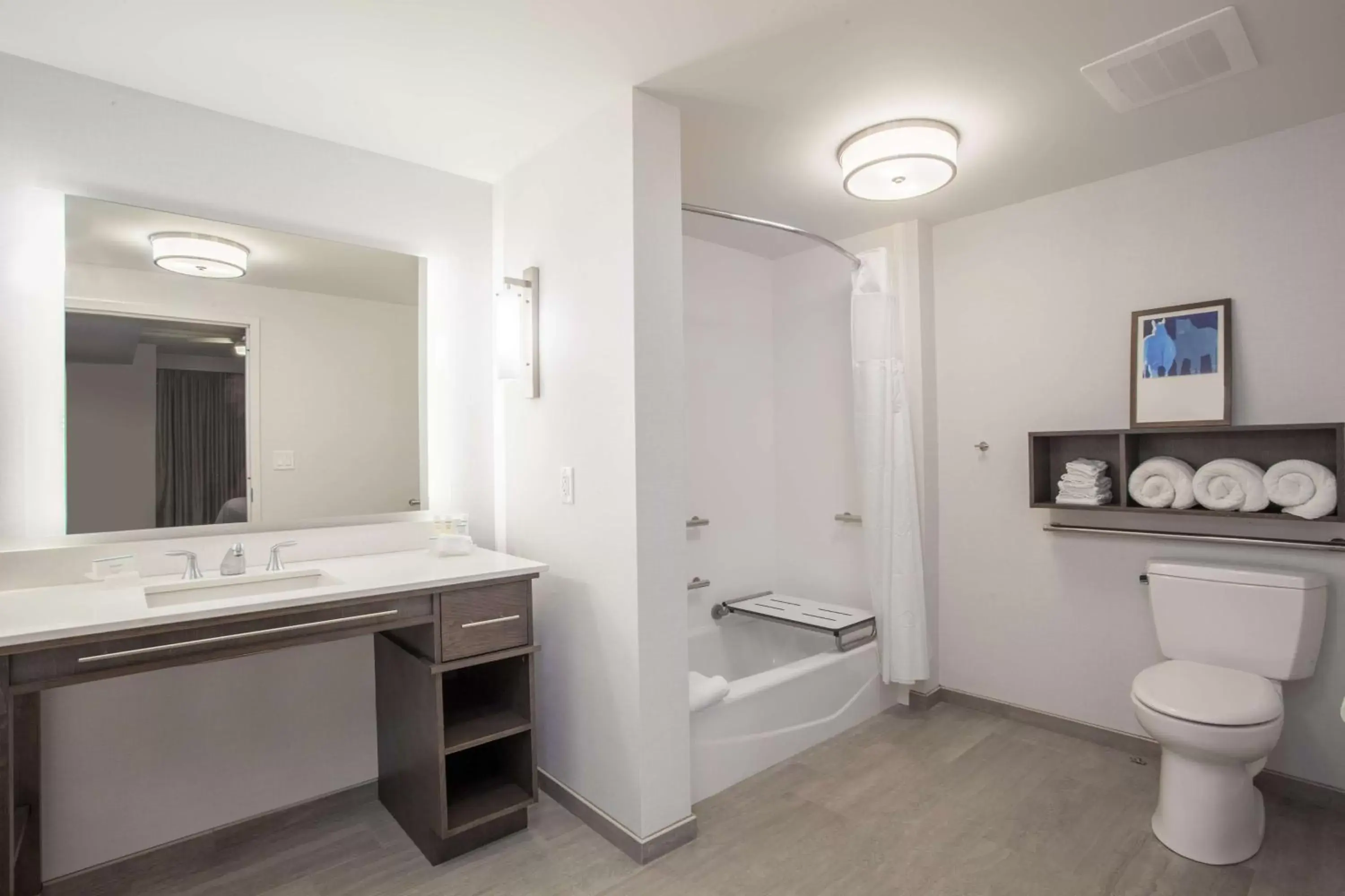 Bathroom in Homewood Suites By Hilton Saratoga Springs