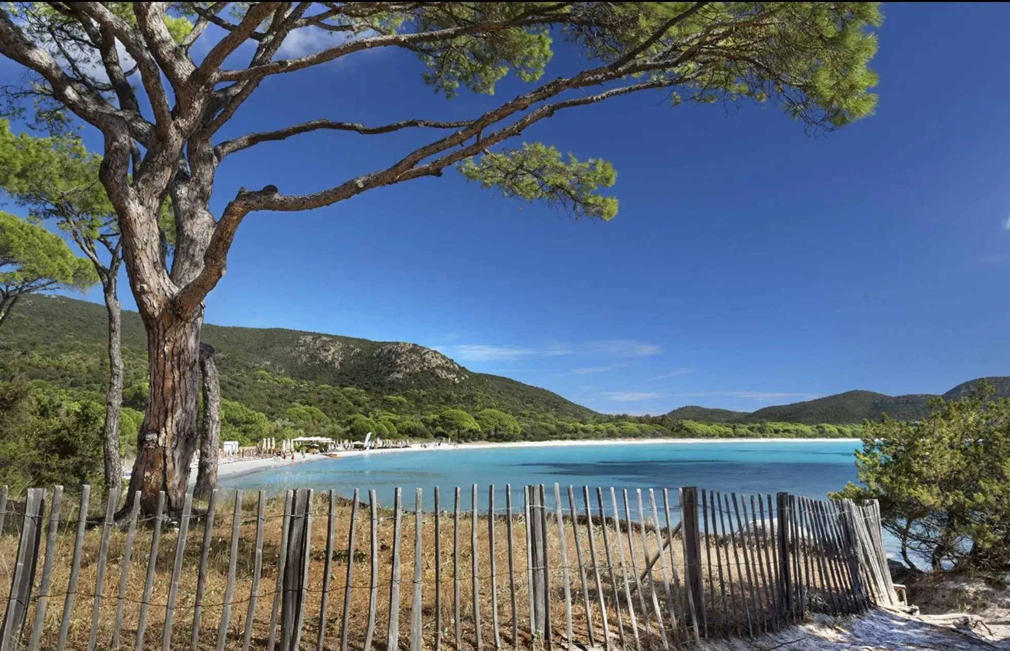 Beach in Restaurant - Chambres d'Hôtes Terra Bella Lecci