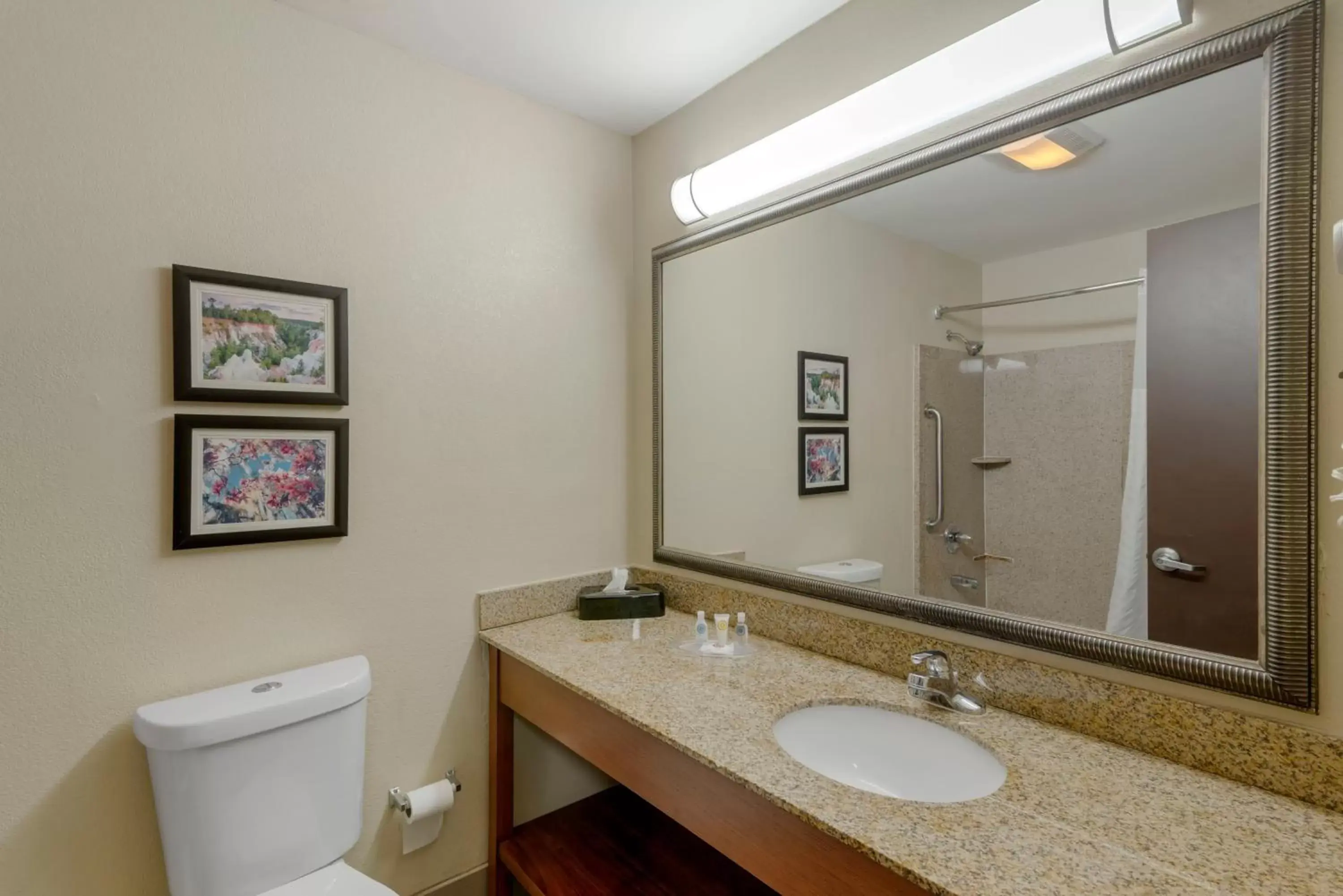 Bathroom in Comfort Suites Columbus State University Area