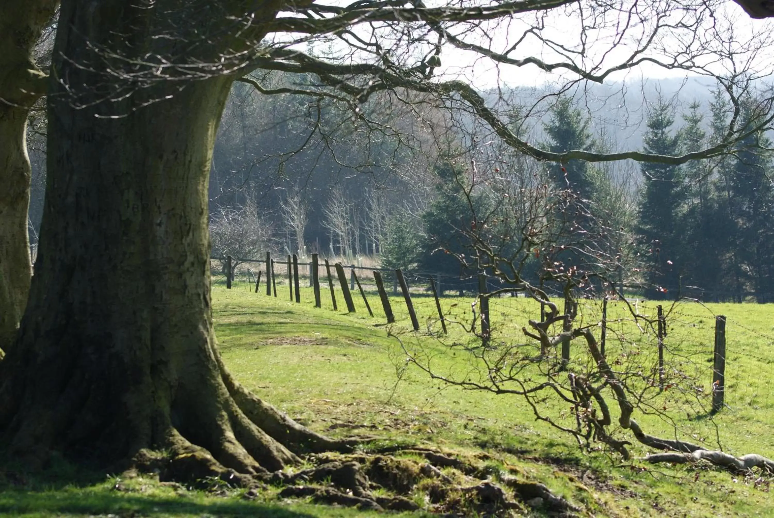 Natural landscape in The Old Kiln House