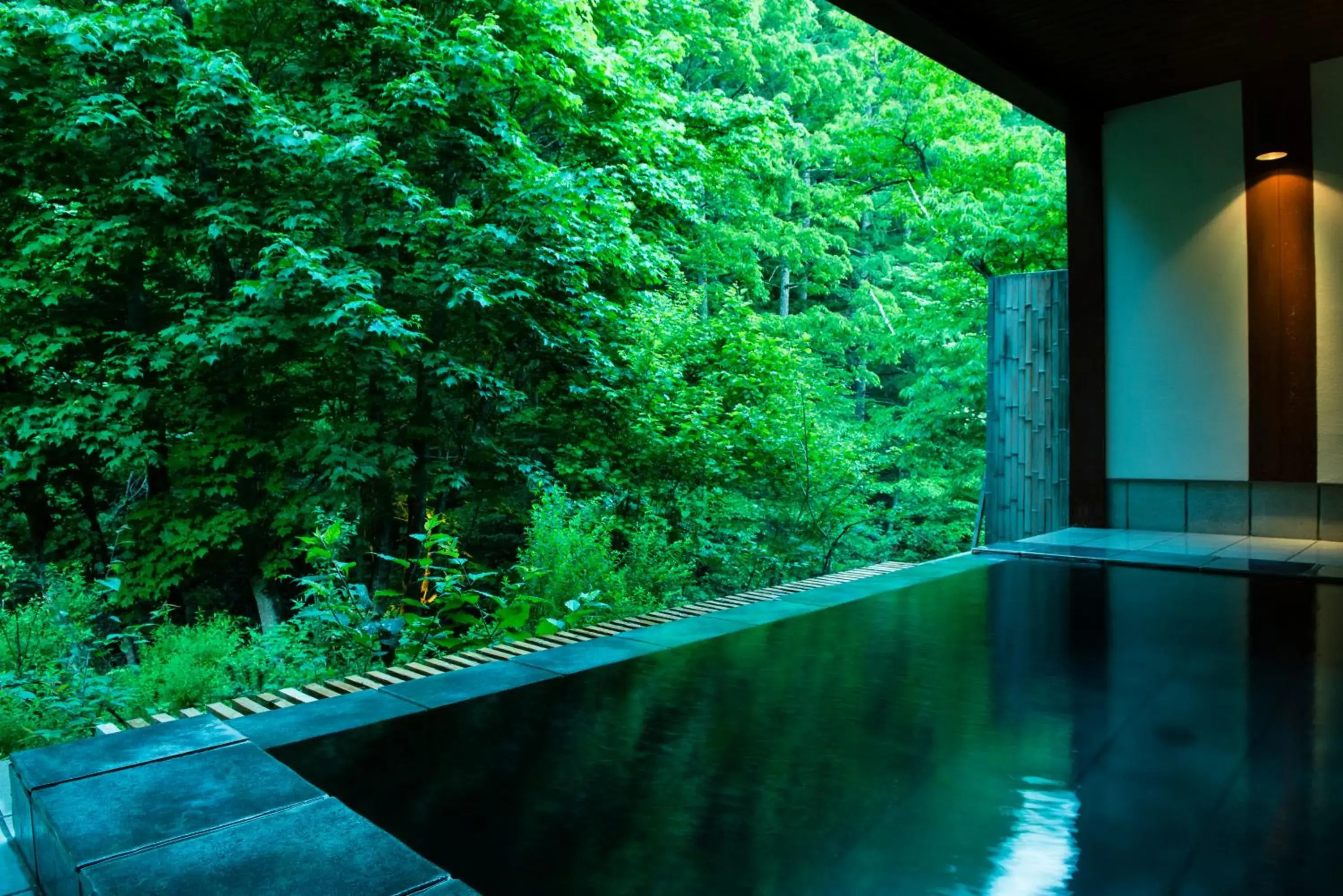 Hot Spring Bath, Swimming Pool in Myojinkan Ryokan