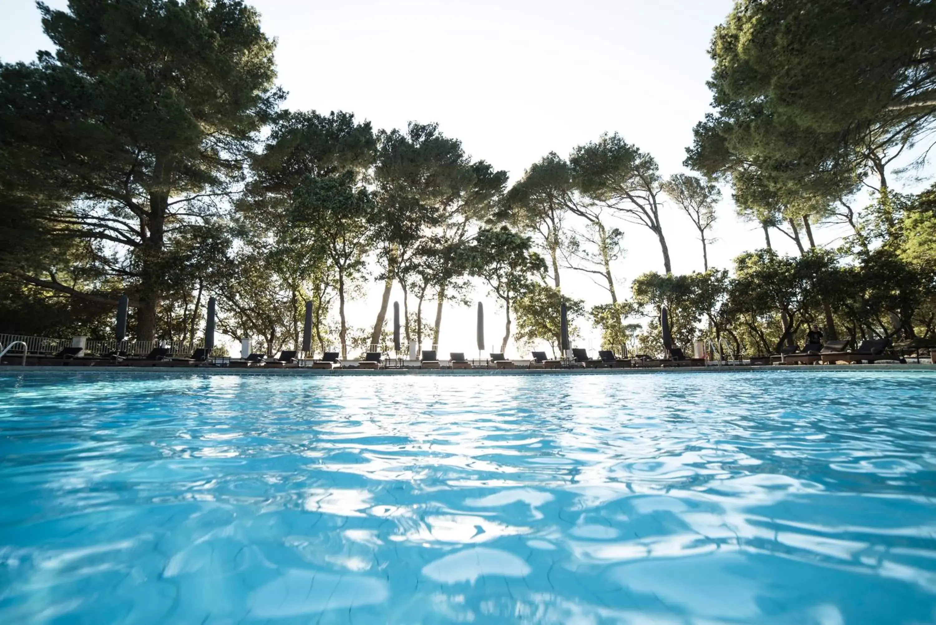 Solarium, Swimming Pool in Bordoy Continental Valldemossa
