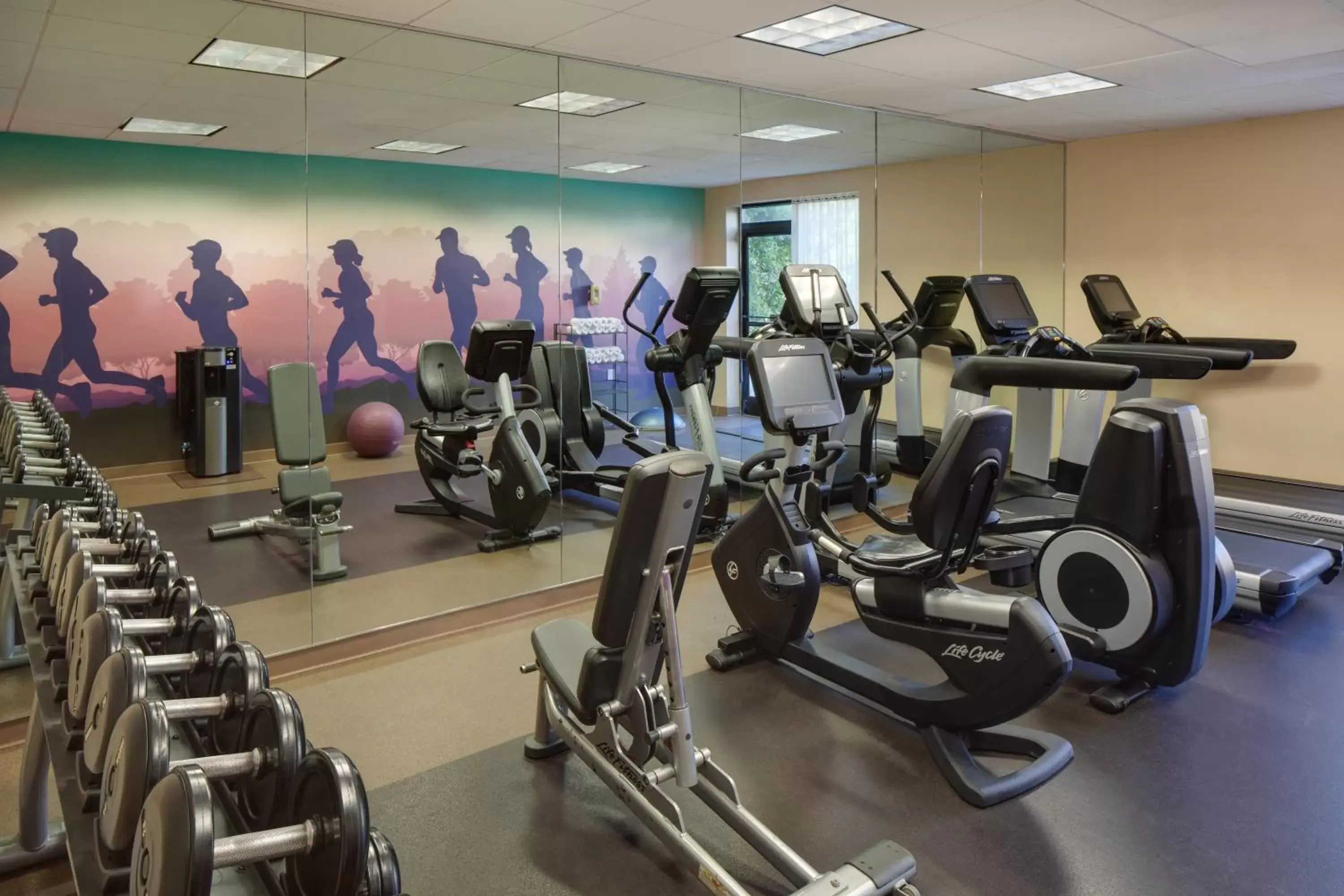 Fitness centre/facilities, Fitness Center/Facilities in Hyatt Place Princeton