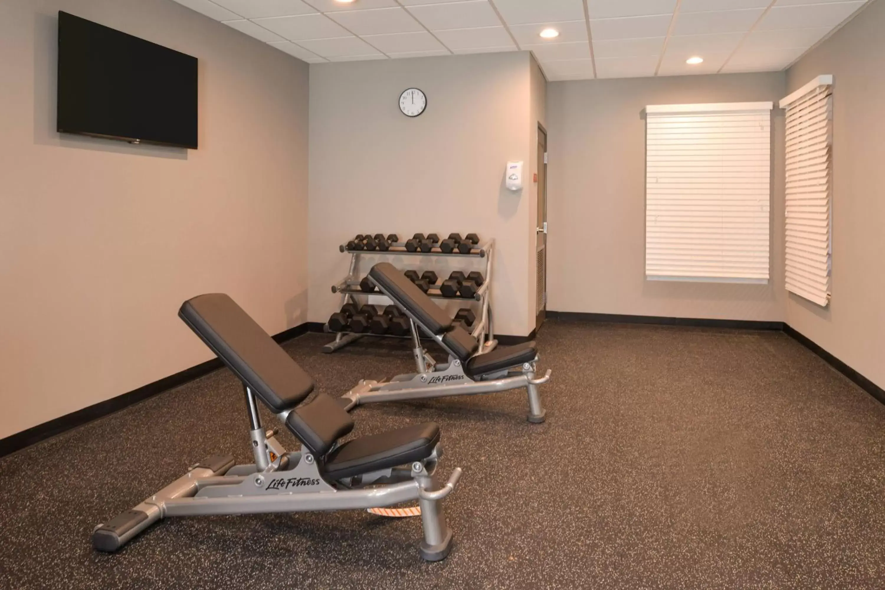 Fitness centre/facilities, Fitness Center/Facilities in TownePlace Suites by Marriott Laplace